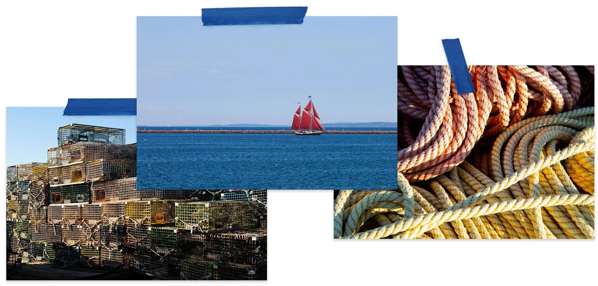 photos.02.jpg