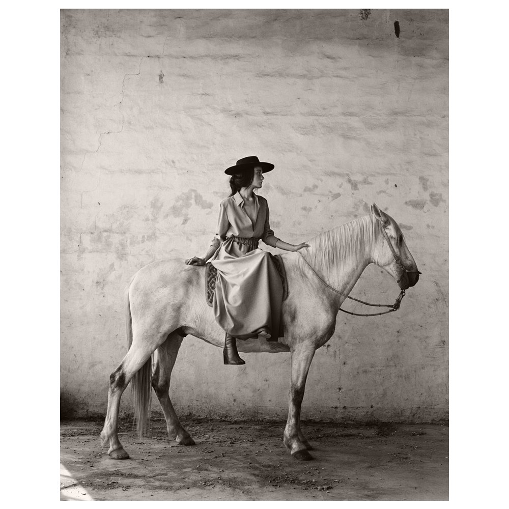 Horse in Argentina by Anne Menke, FROM $1,000