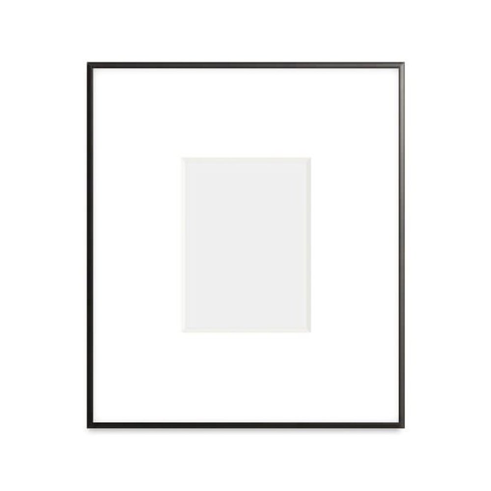 Thin Metal Gallery Frame with 4" Mat, from $199, Pottery Barn