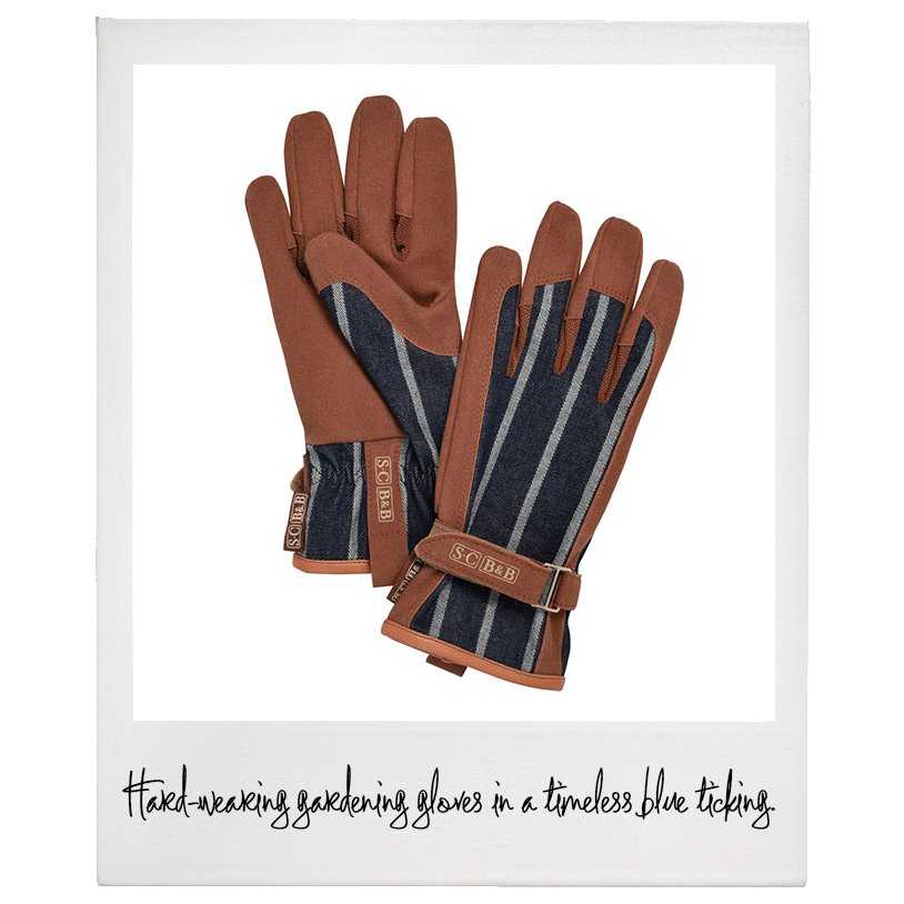 Sophie Conran Everyday Gardening Gloves, $29.95, Williams Sonoma