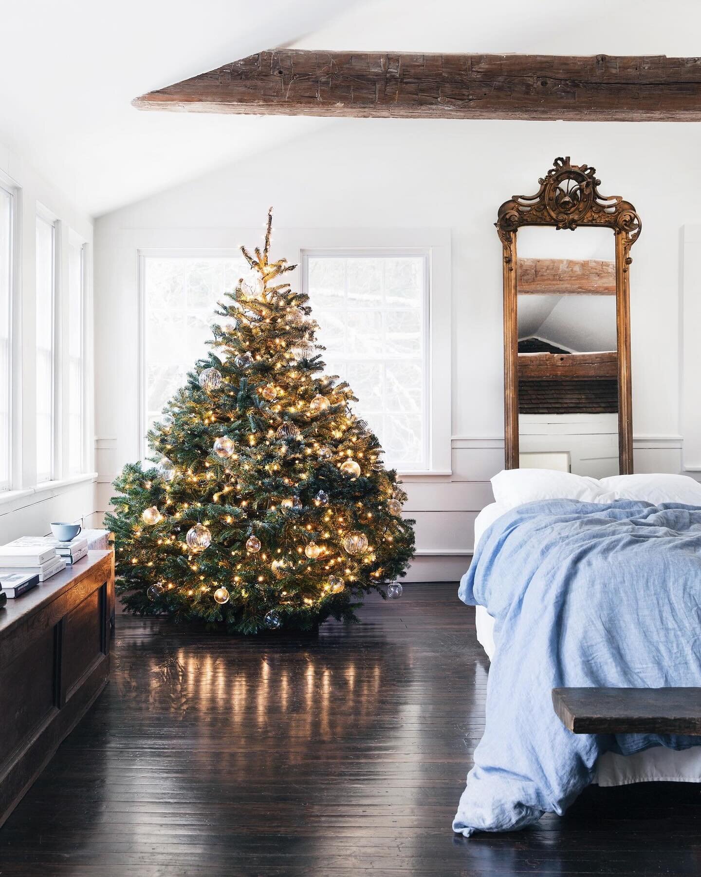 Today on Lonny, the team at @holidayworkroom offers guidance on selecting the perfect tree, honoring your own style, and following the festive fundamentals. Whether you&rsquo;re into a pared back Scandinavian look or an over the top ornament-clad tre