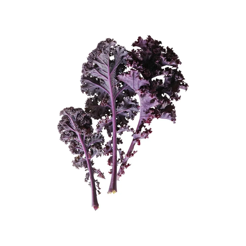 Scarlet Kale Seedling, $2.99, Lettuce Grow