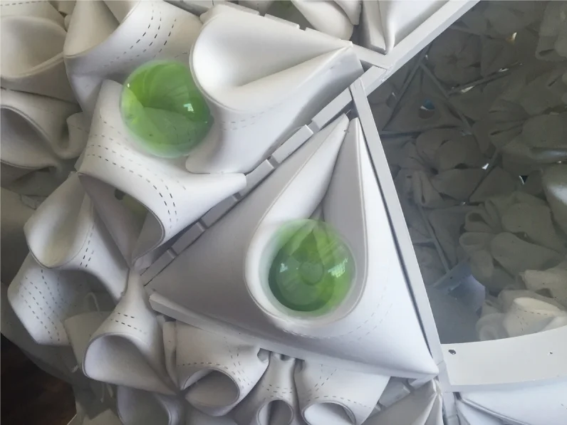 spirulina_header.jpg