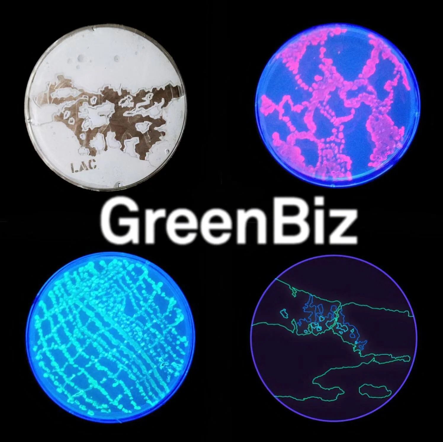 Terreform ONE’s plans to upend cities and suburbs in a post-pandemic world