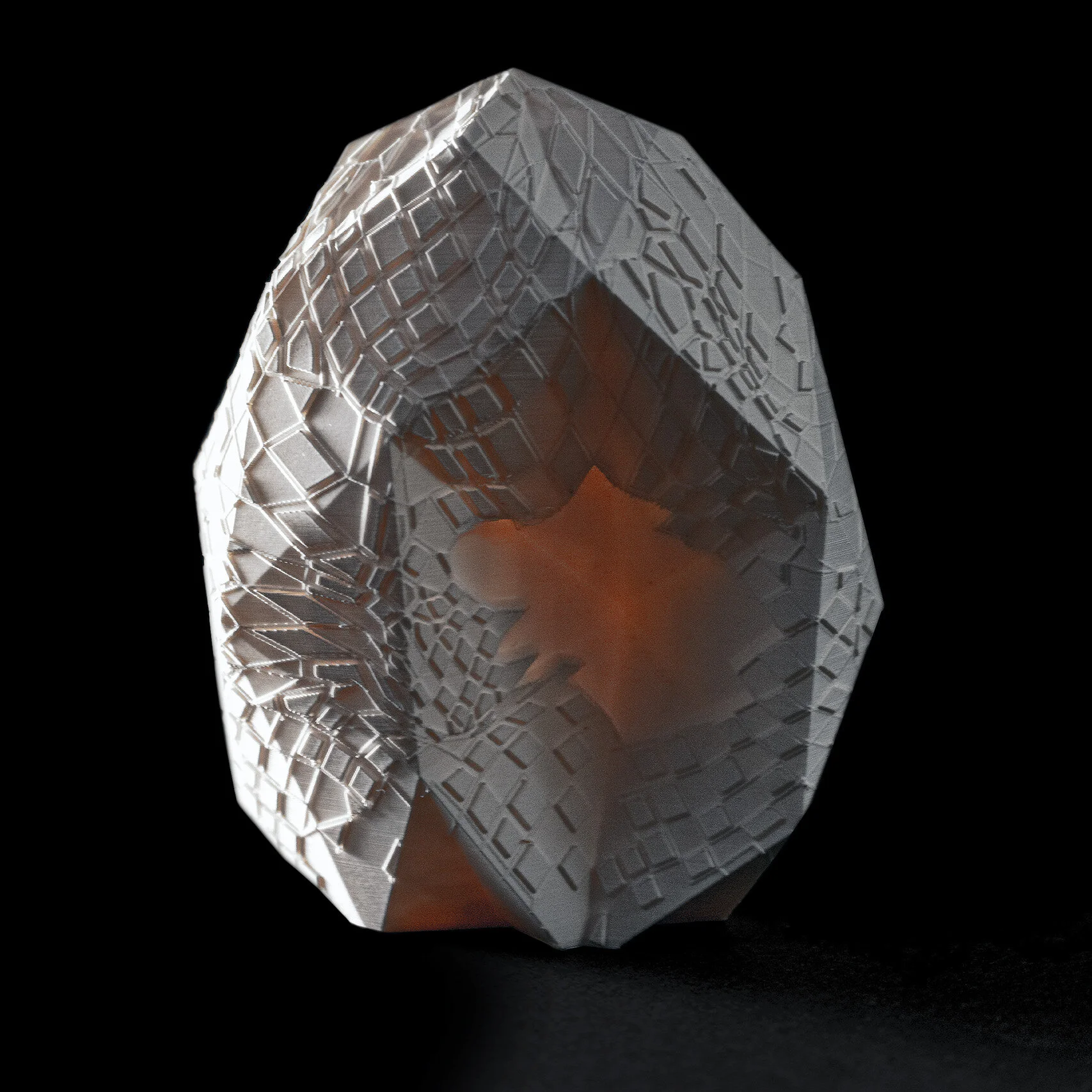 Anti-Extinction Library w/ TED Countdown