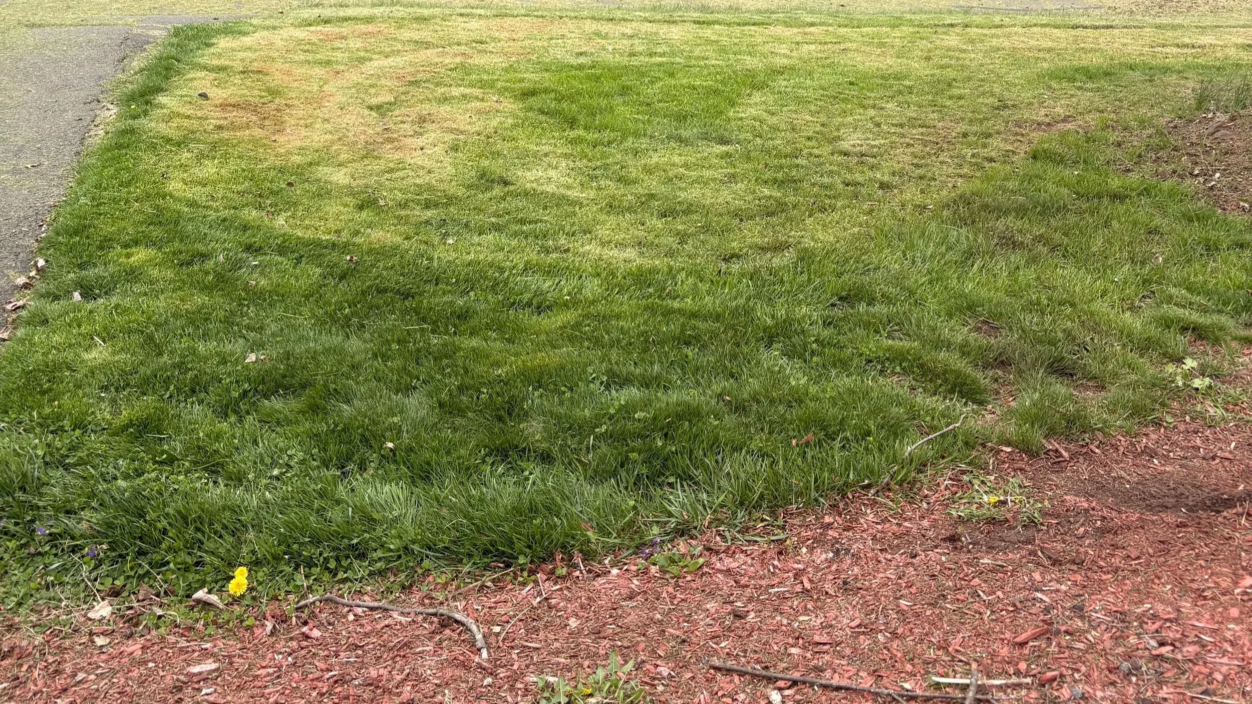a photo of my unevenly cut grass