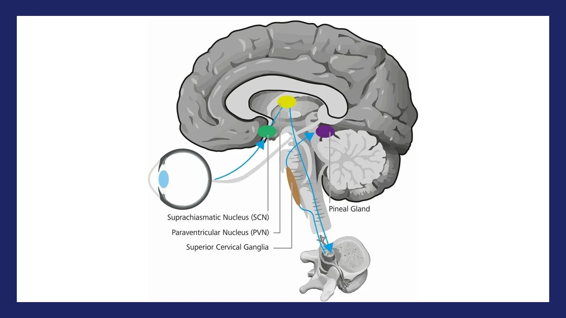 Follow The Sun | Core Series, Part 1