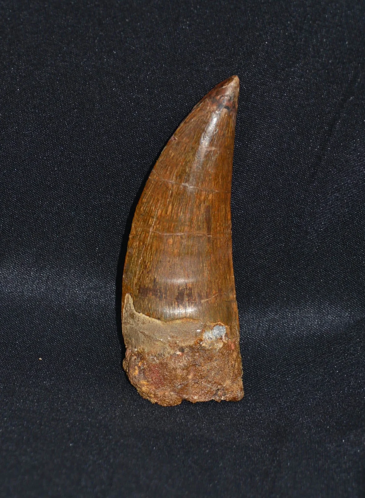 CC4.jpg