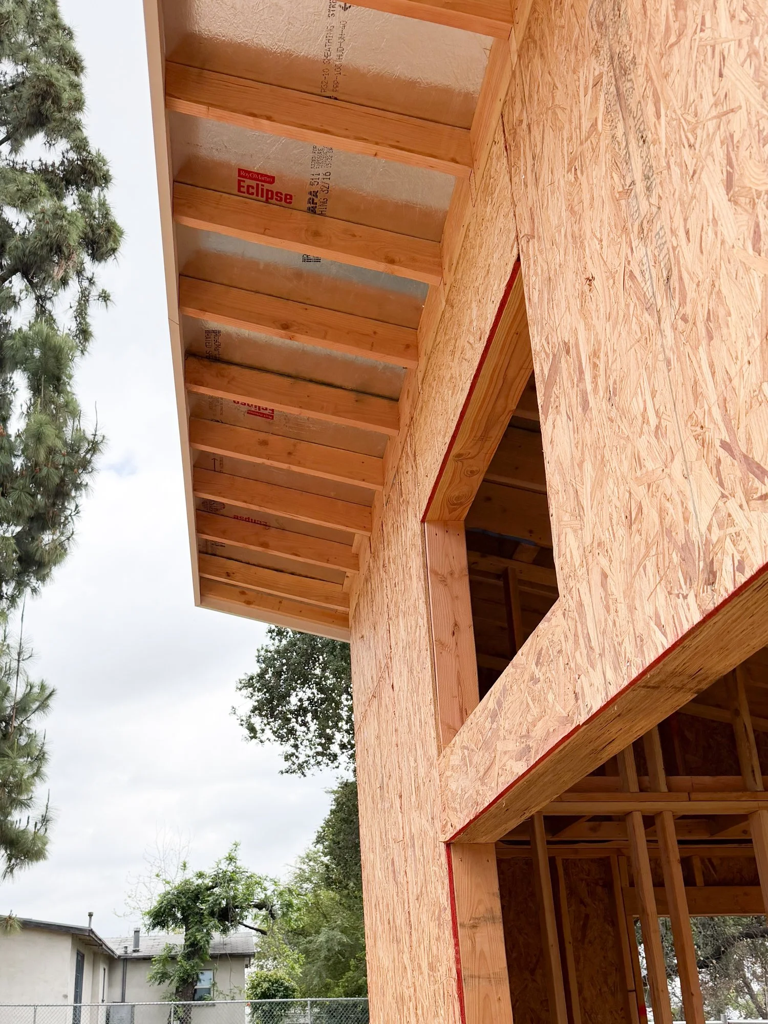 Photo Apr 02 2026, 12 06 40 PM.jpg