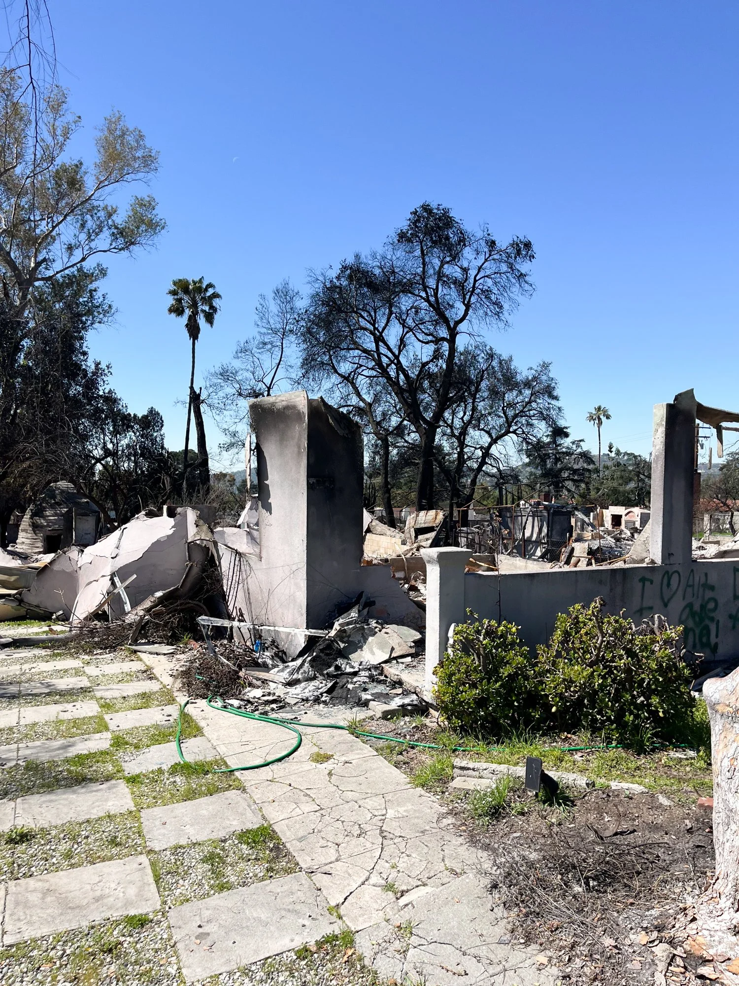 Photo Mar 24 2025, 11 23 39 AM.jpg