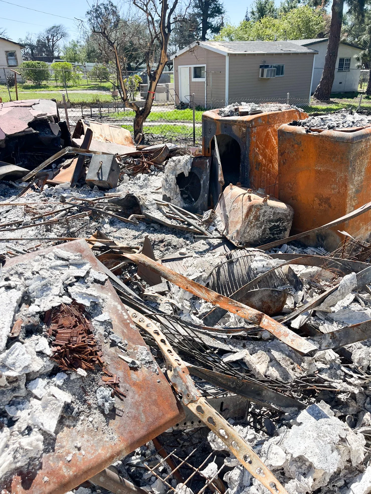 Photo Mar 24 2025, 11 13 05 AM.jpg