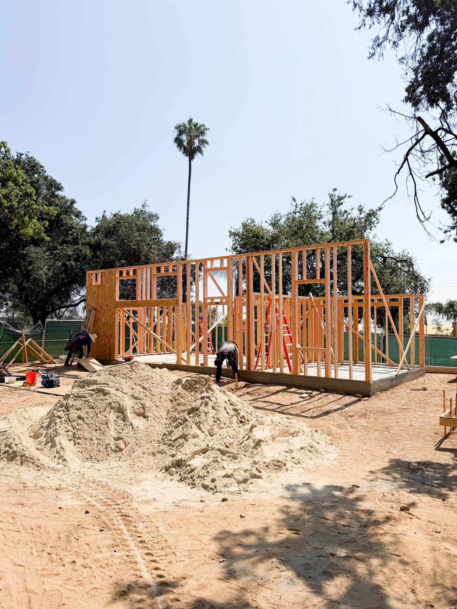 Photo Mar 24 2026, 1 48 37 PM.jpg