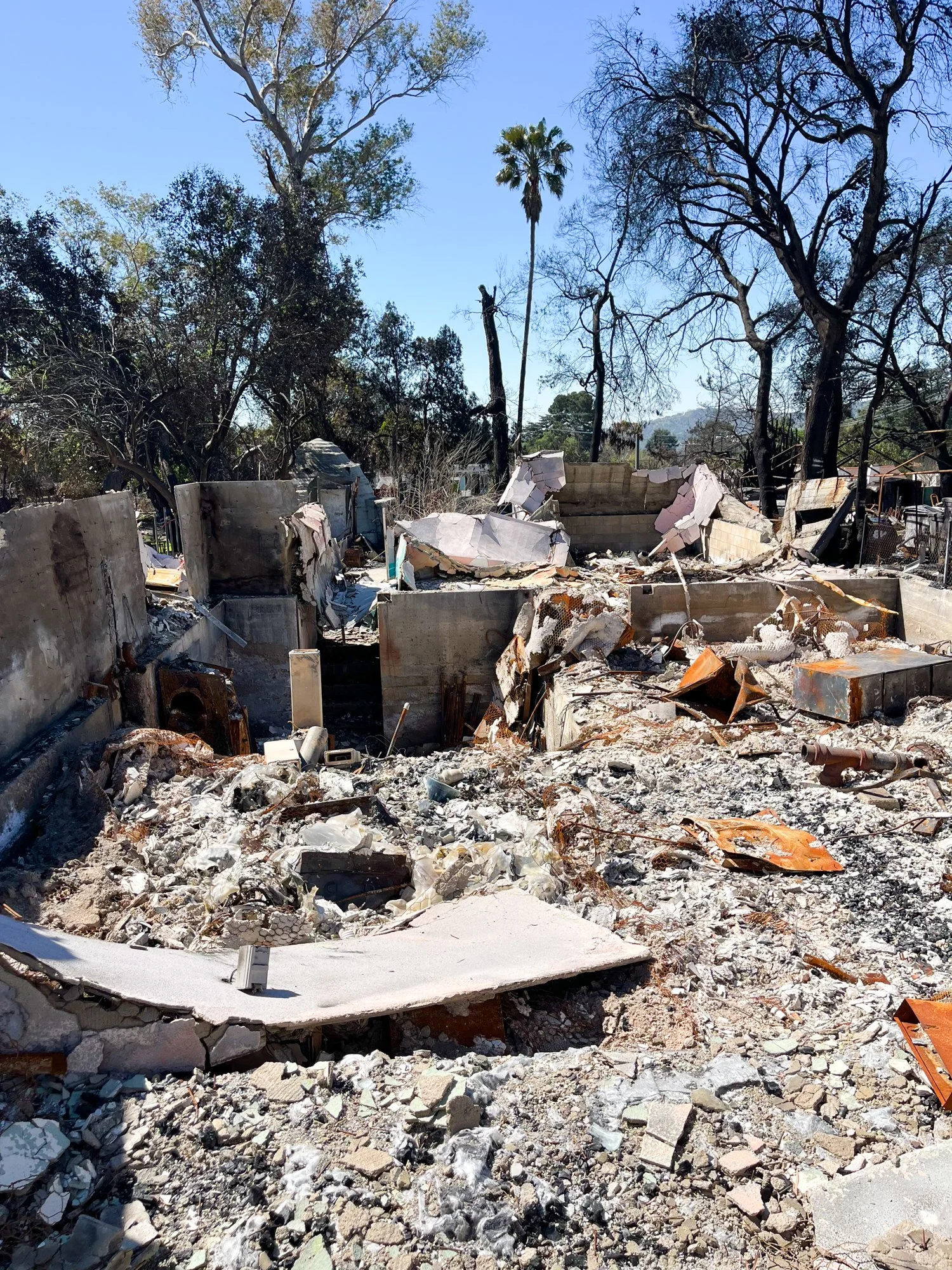 Photo Mar 24 2025, 11 23 48 AM.jpg