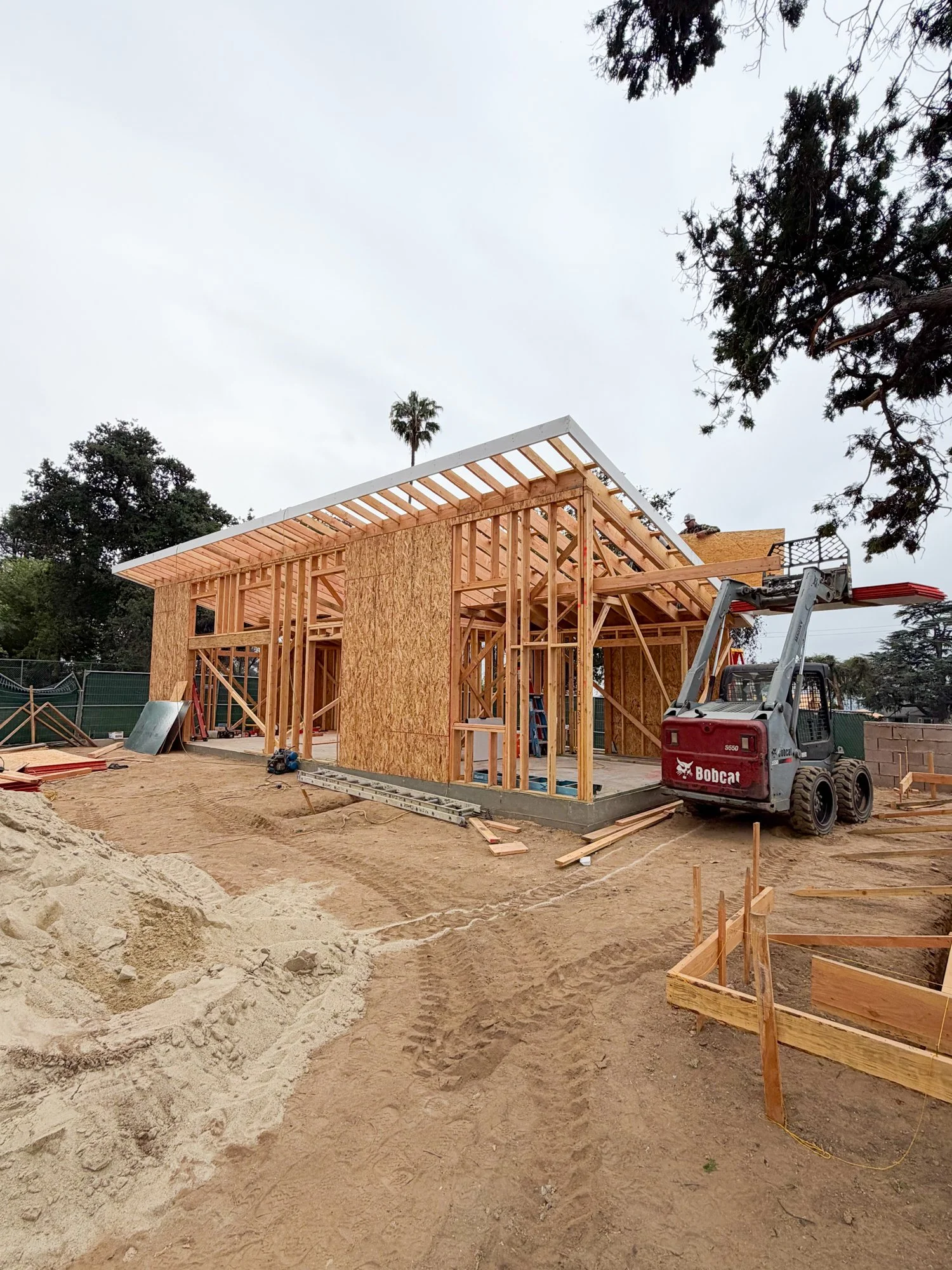 Photo Mar 31 2026, 7 45 24 AM.jpg