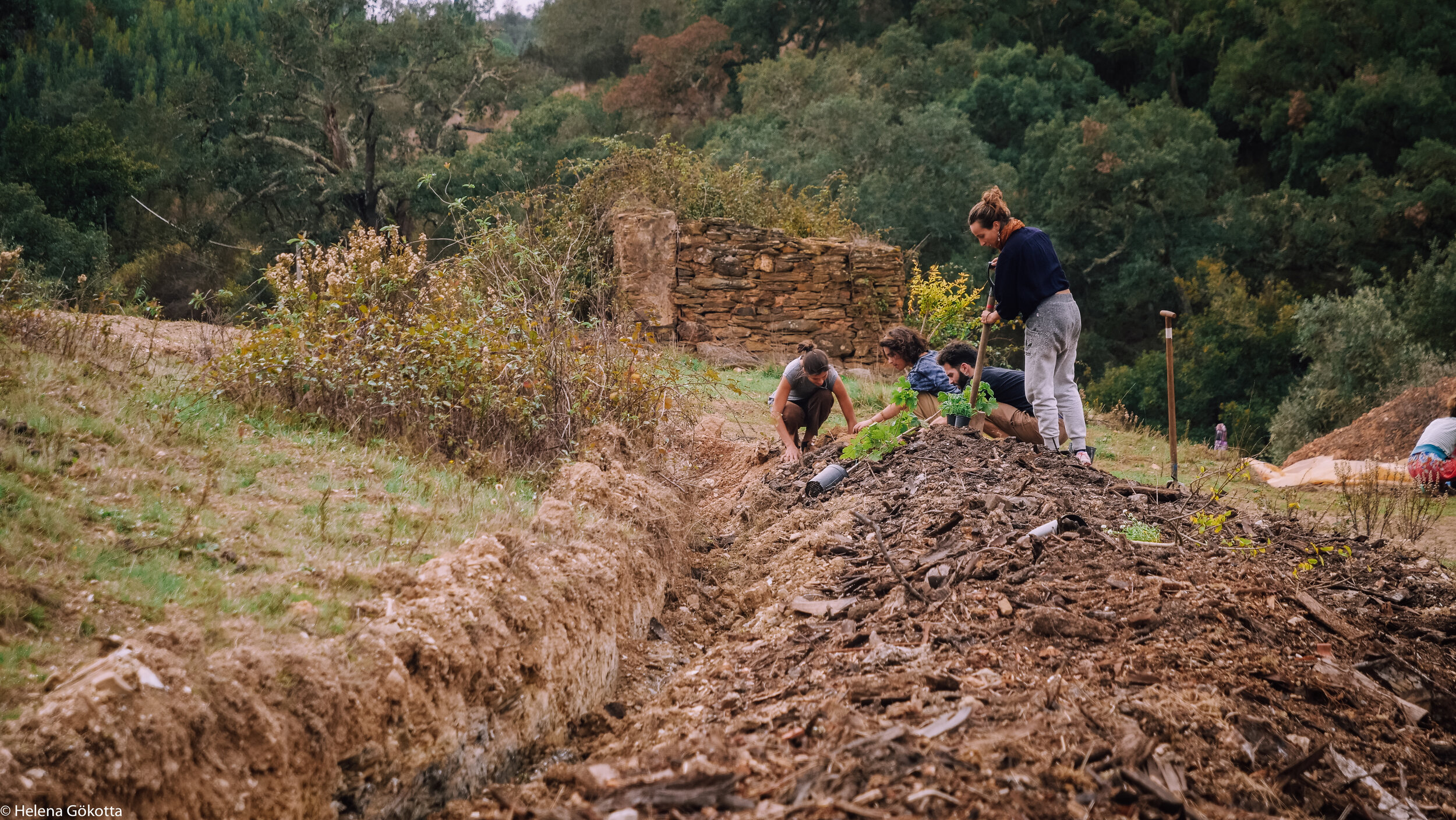 Primal-Reforestation Day-2-47.jpg