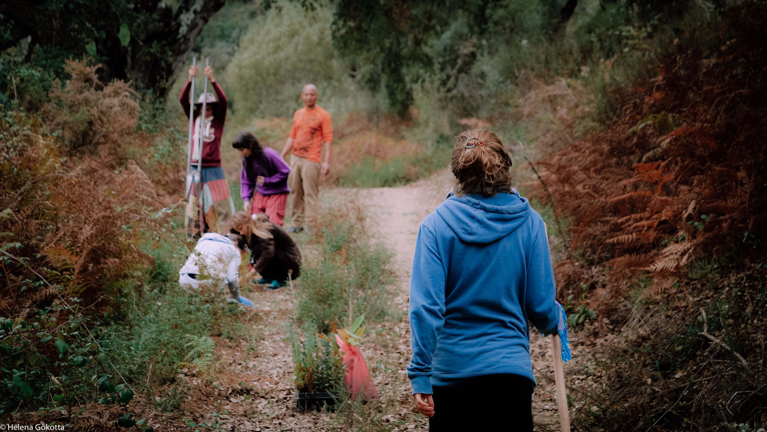 Primal-Reforestation Day-2-83.jpg