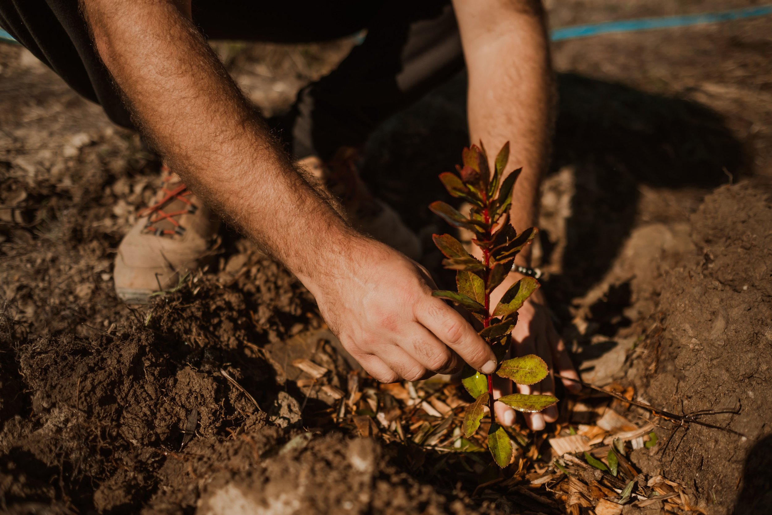 Primal-Reforestation-Gathering(143).jpg