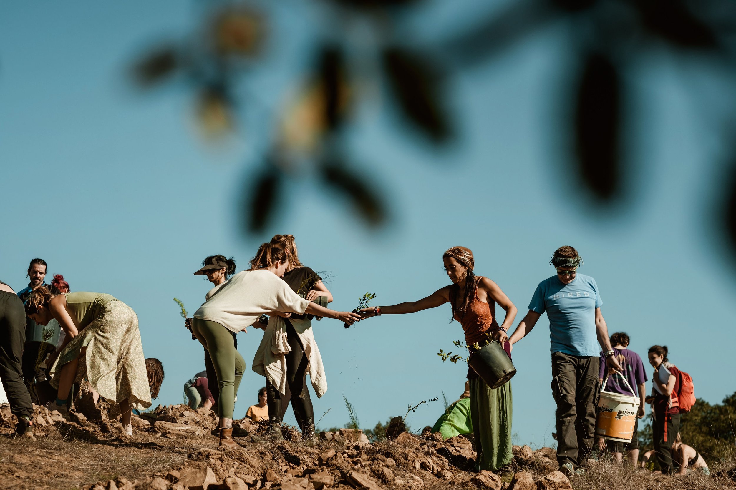 Primal-Reforestation-Gathering(125).jpg