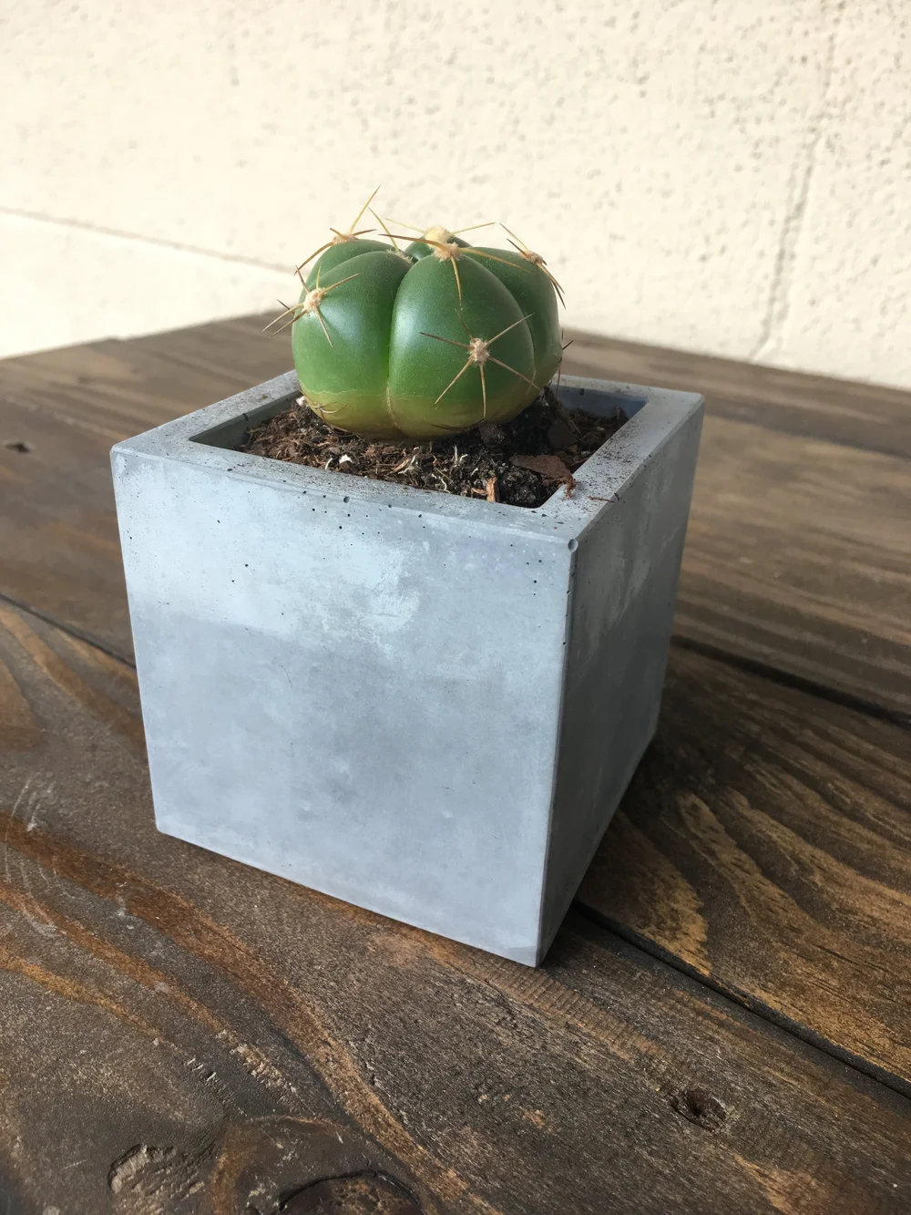 square planter concrete