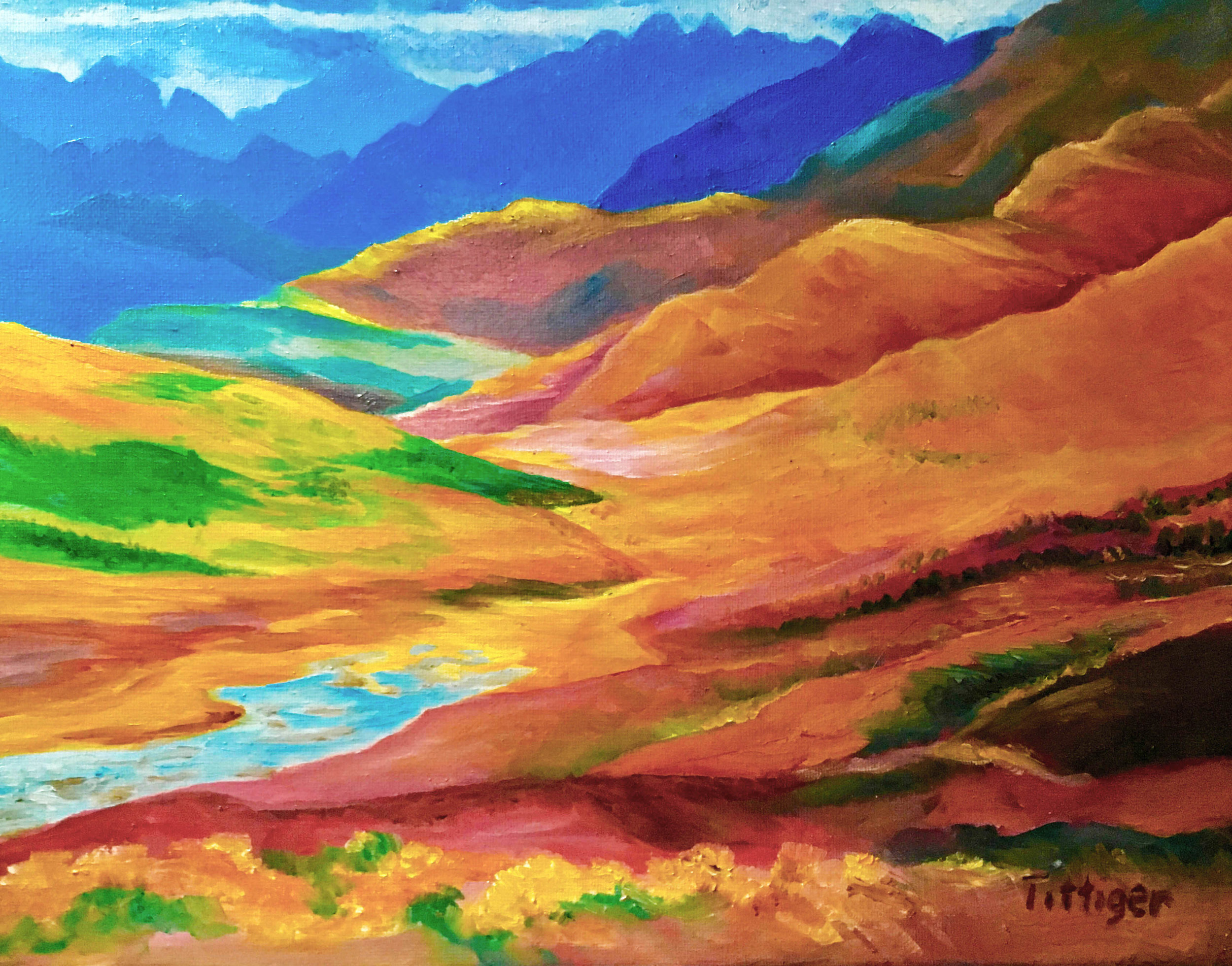 SPLENDOR This is an oil painting of a desert scene. I have a series of these paintings with segments of color throughout each piece. This is framed as well.