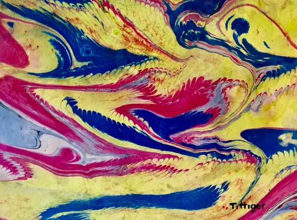 Tittiger.PINK_AND_YELLOW.9_X_12._75.00.CR.4.29[1].jpg