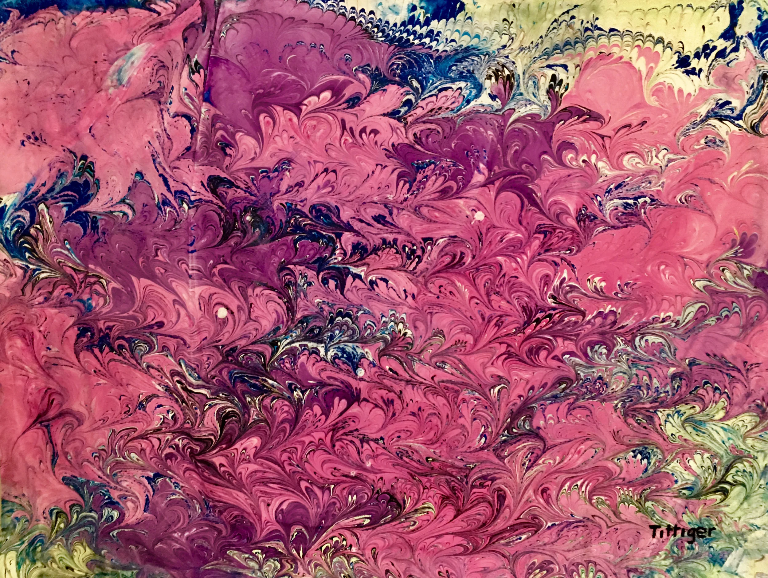 Tittiger.PINK MIST.18 x 24.$175.CR8.6.18.jpg