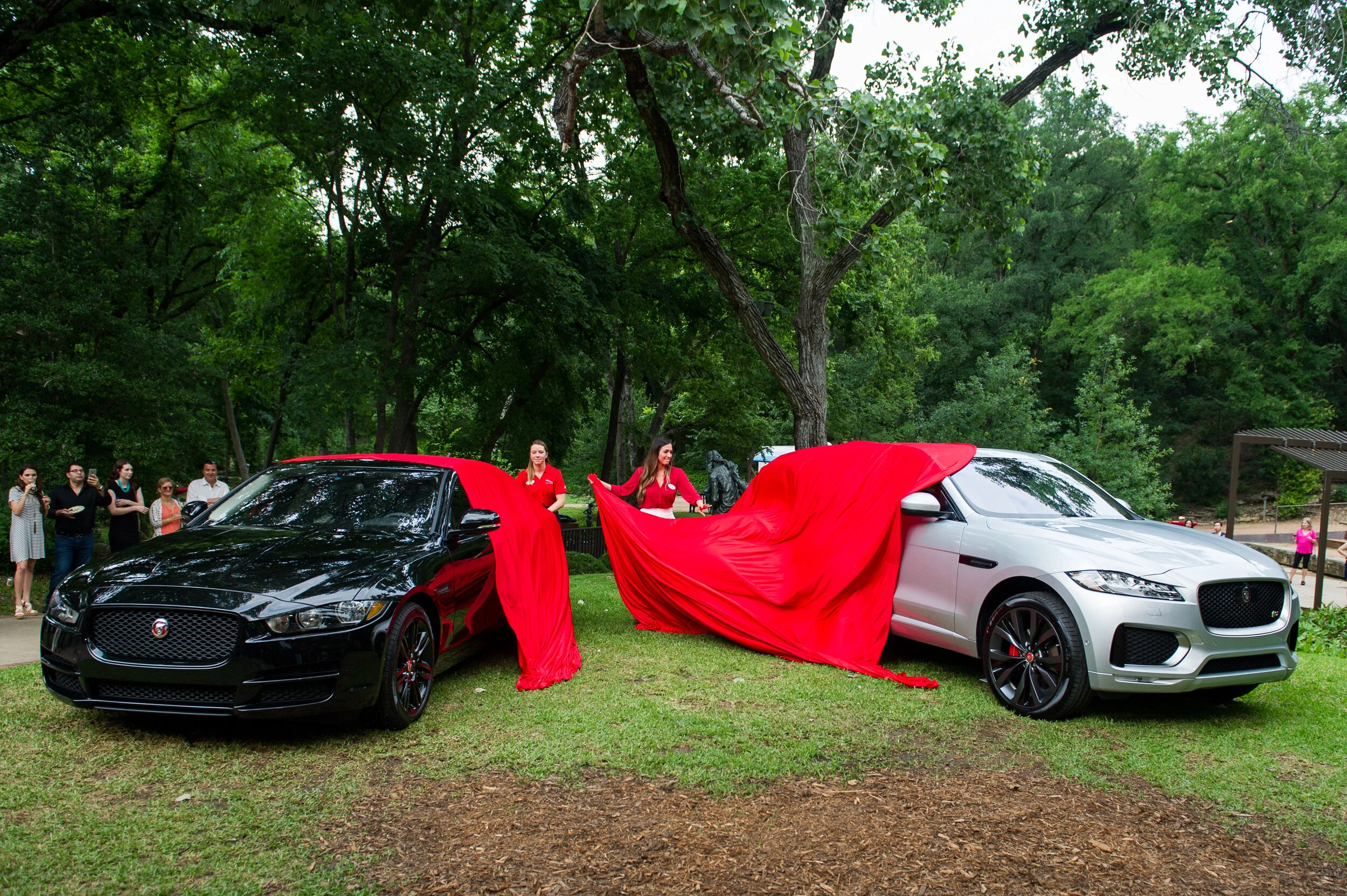 Jaguar-Umlauf-133.jpg