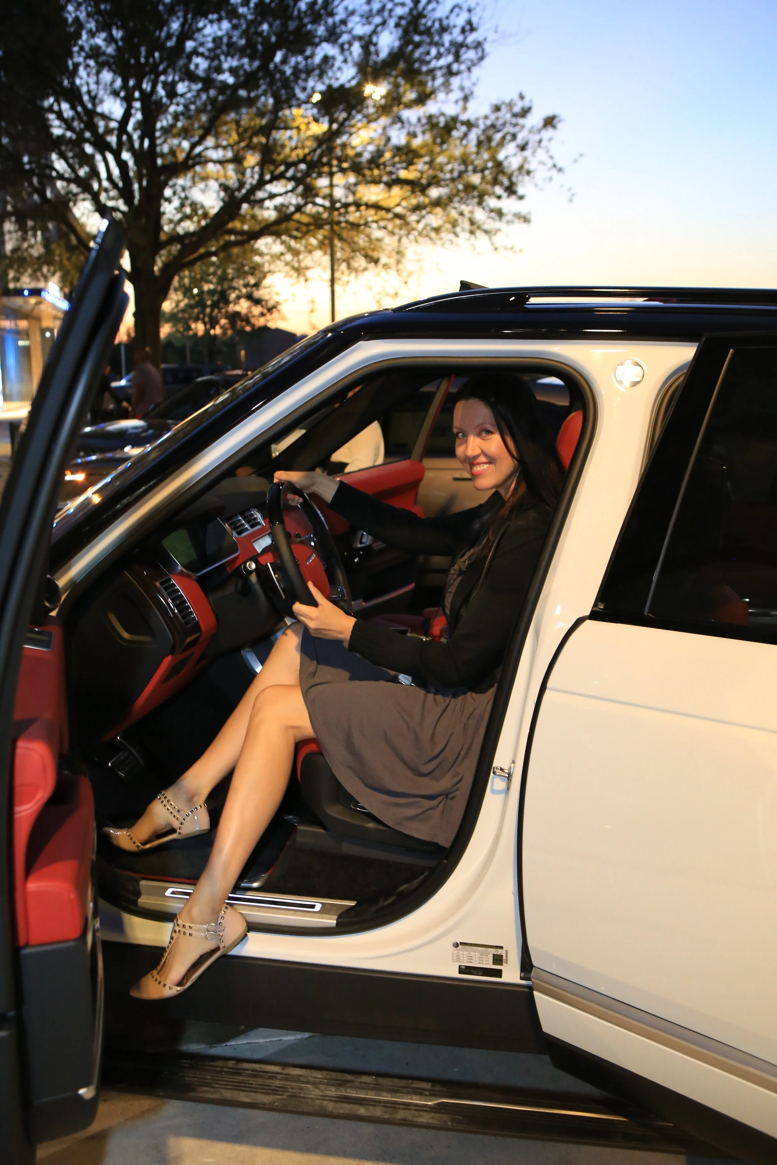 Land Rover FrontgateIMG_1ab.JPG