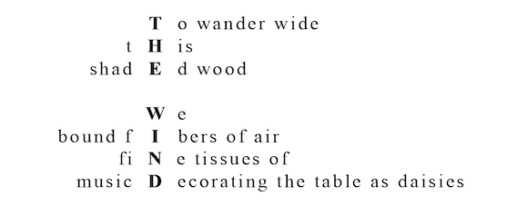 (excerpt from “drapes a silent earth” mvt.I mesostic – created from texts harvested in Manayunk, Philadelphia, March 6, 2017)