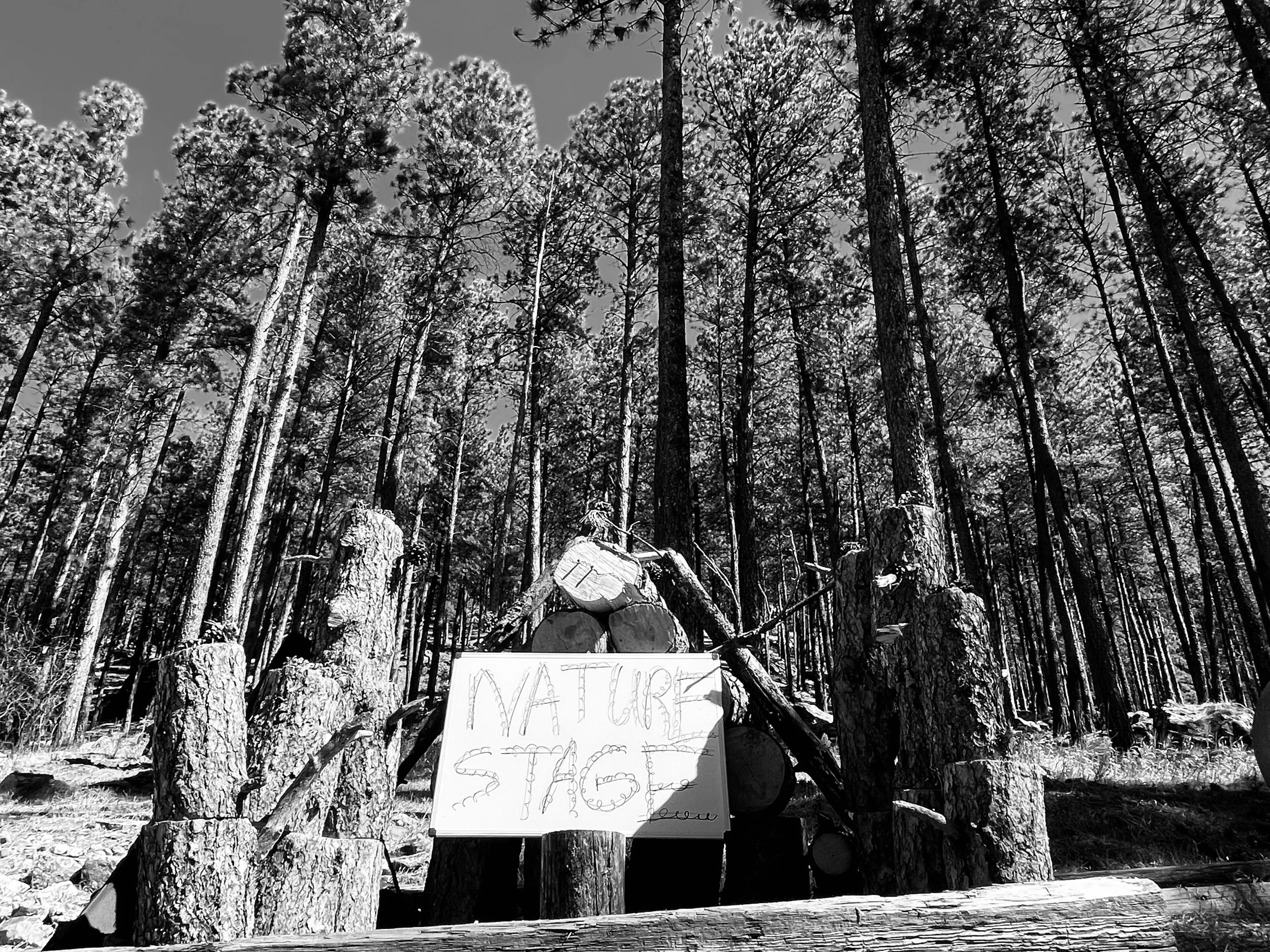 Nature stage bw .jpeg