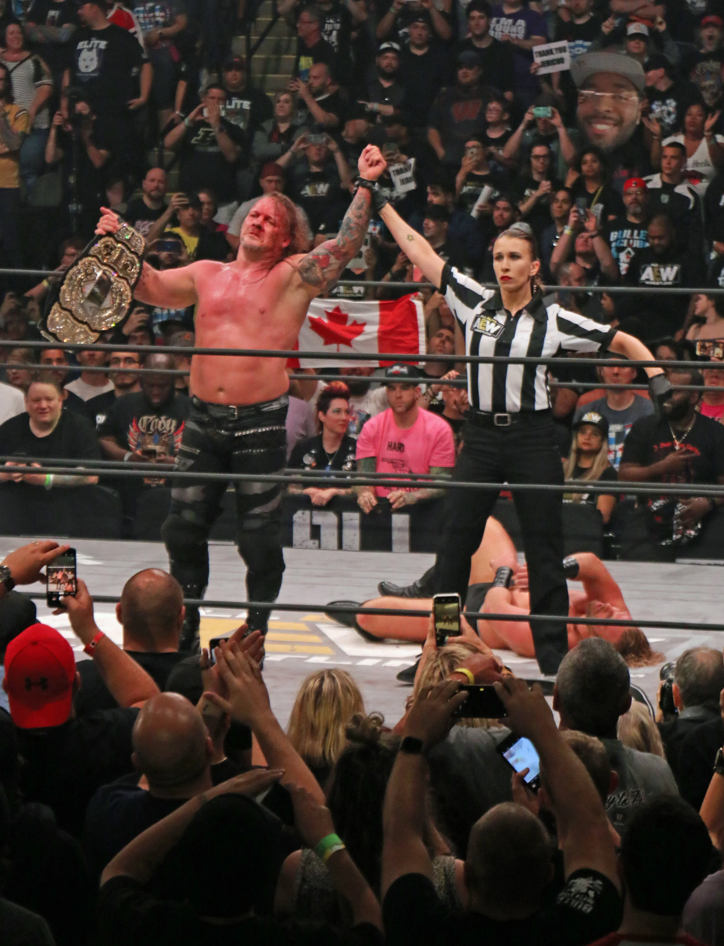 Chris Jericho crowned AEW’s first champion at All Out