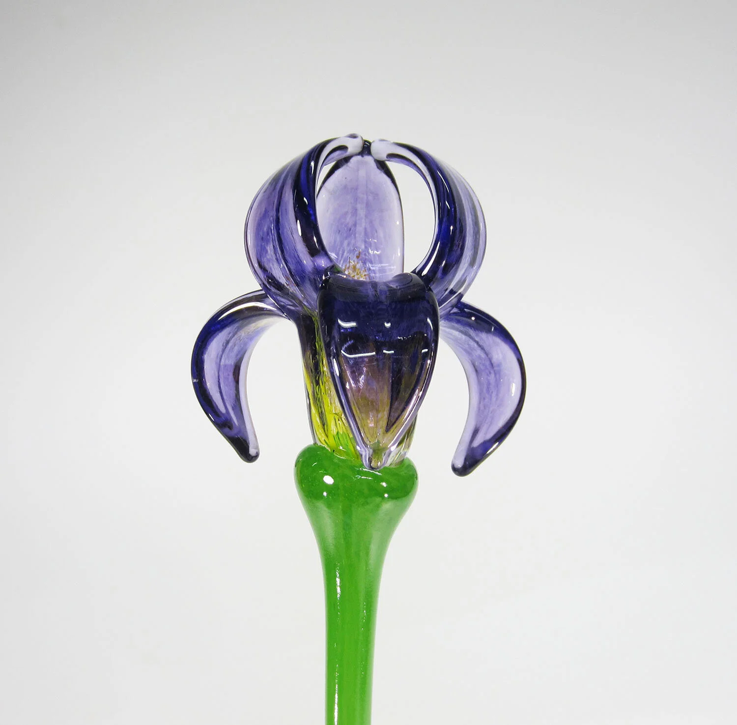 Single Flower- Siberian Amethyst Iris