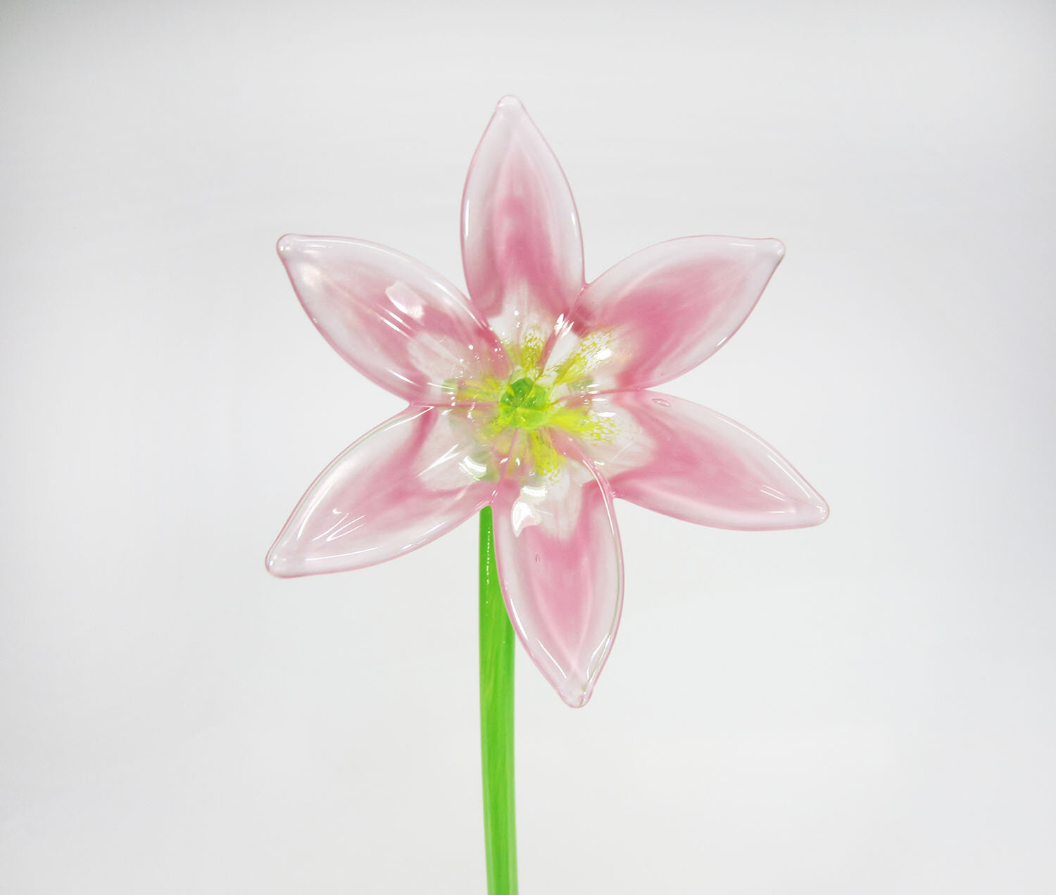 lily red flower Lycoris Red Spider Lily