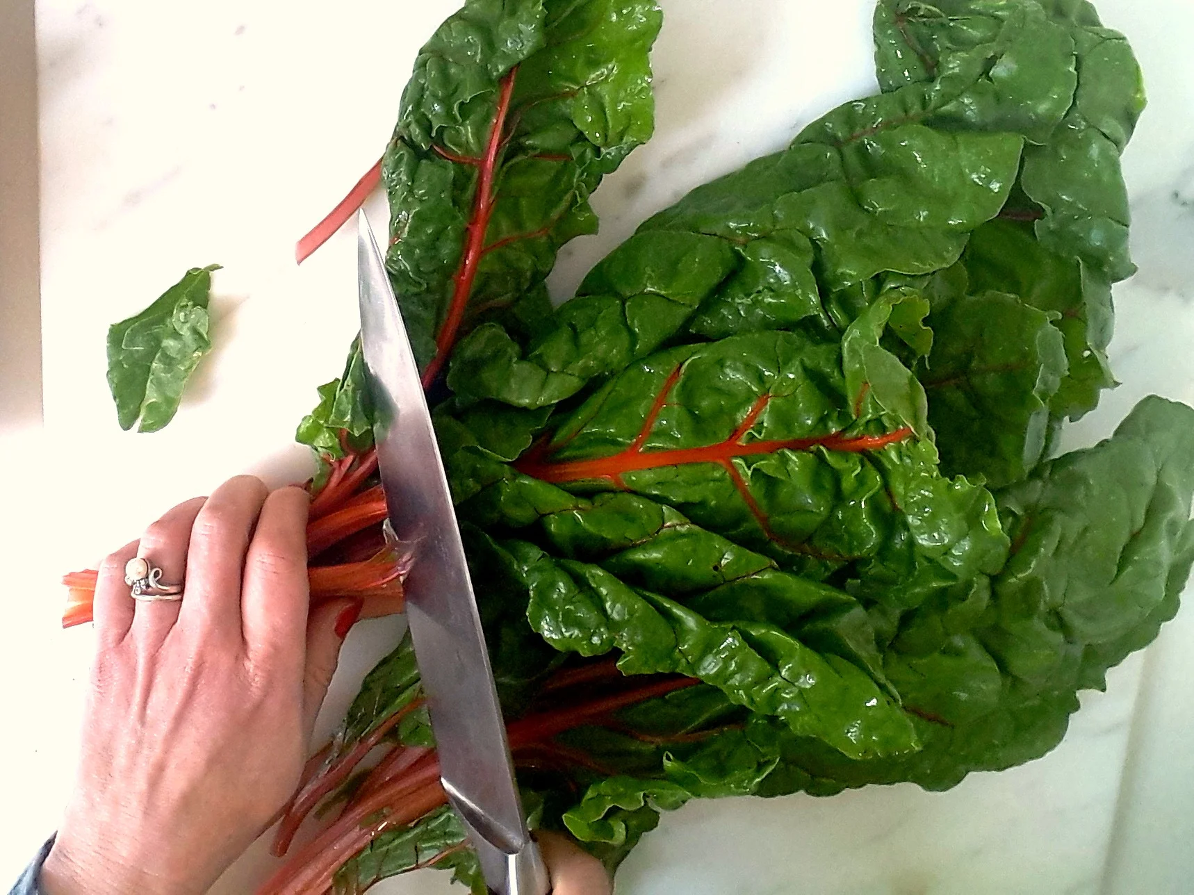 Marci+Bowman-chopping-chard.jpg