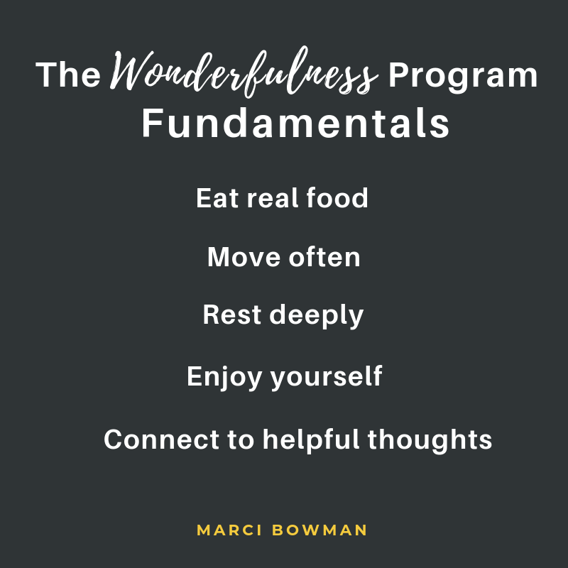 The-Wonderfulness-Program-Fundamentals.png