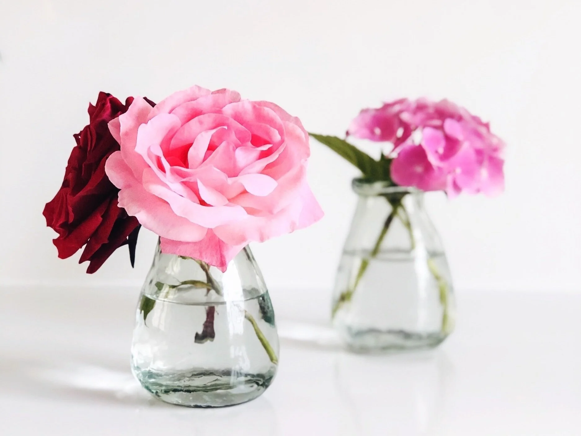 Donate flowers & vases — BigHearted Blooms