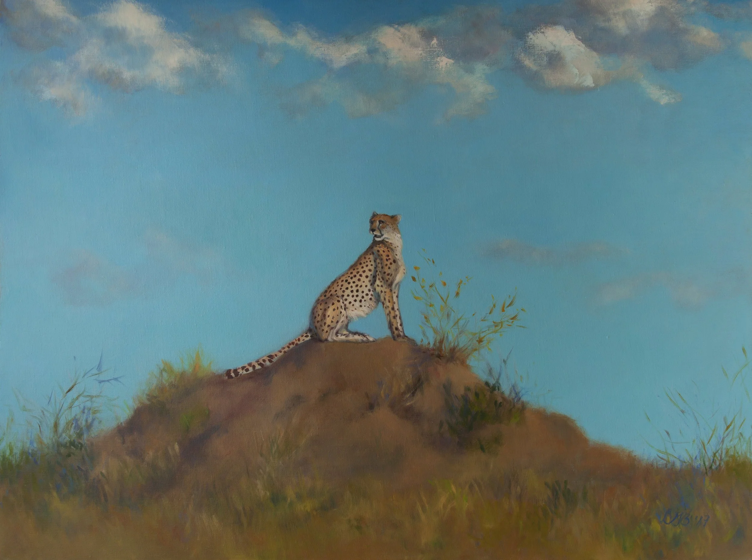 %22Majestic+Cheetah%22,+oil+40+x+30%22+2018-2-091.jpg