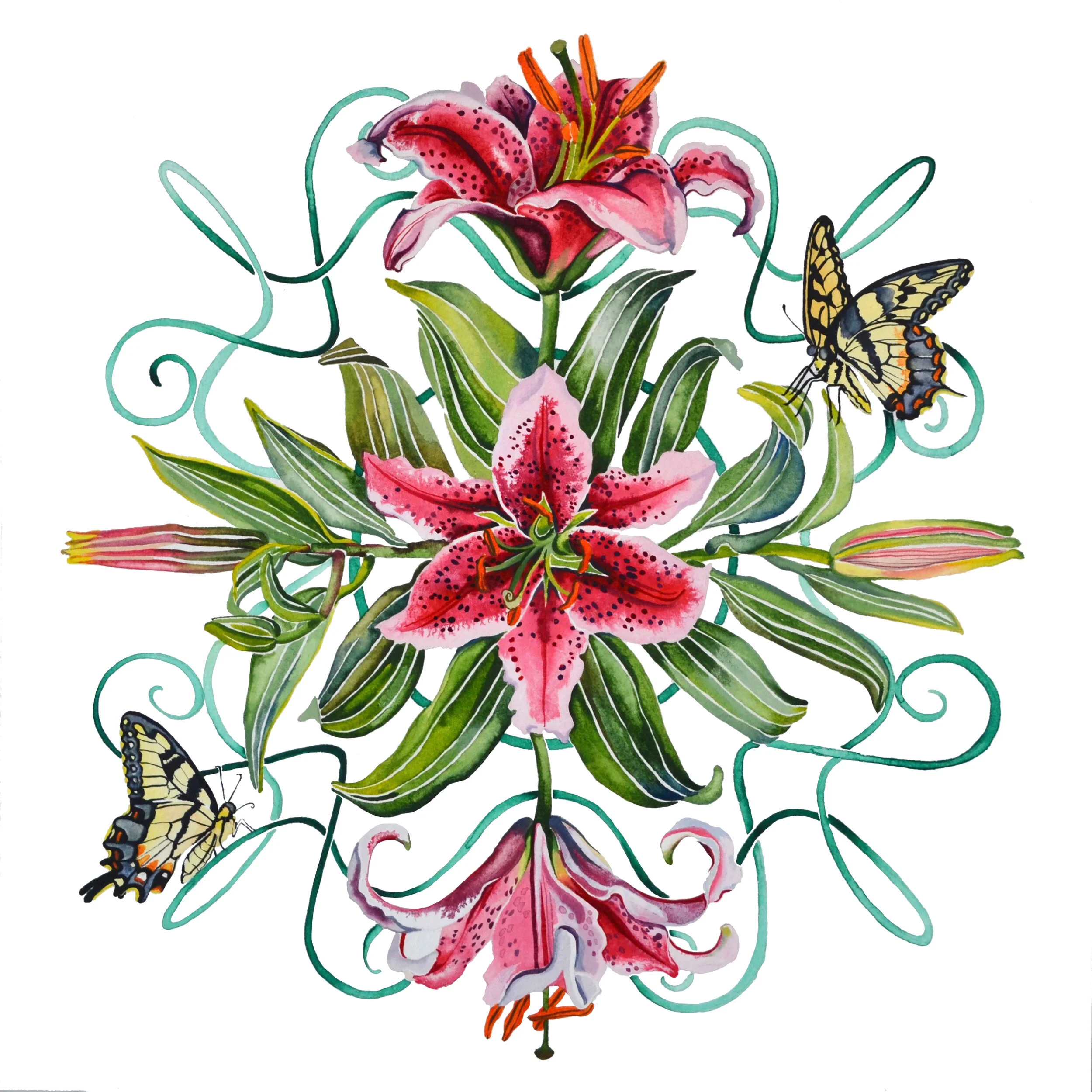 Stargazer 12 inch (clean up with brush).jpg