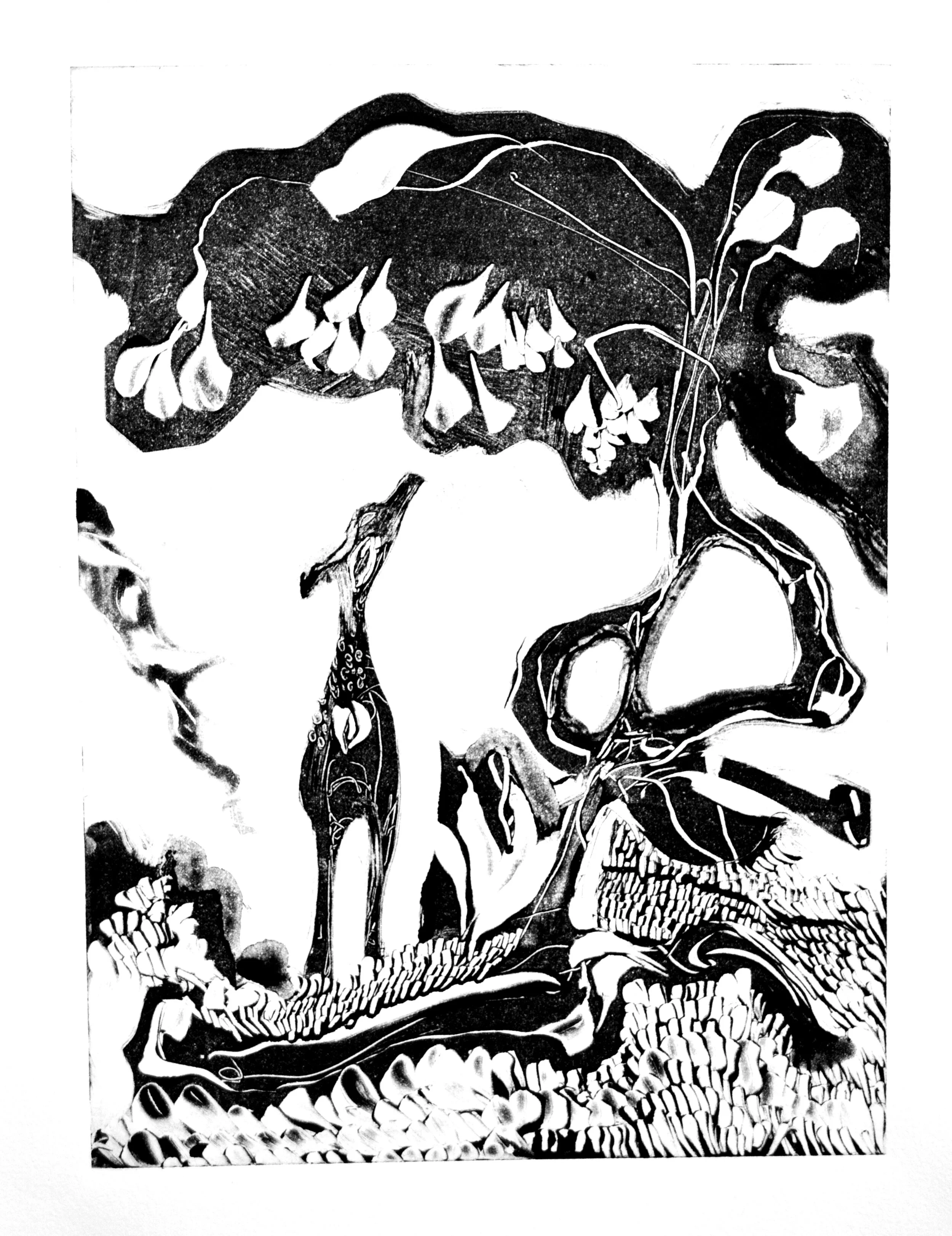 Cervidae Reaching.jpg