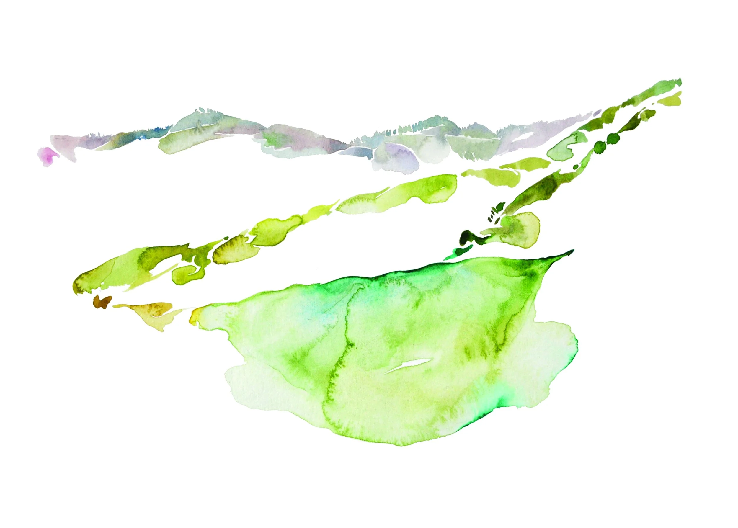 Los Piños (Study), watercolor on paper, 11%22 x 15.25%22.jpg