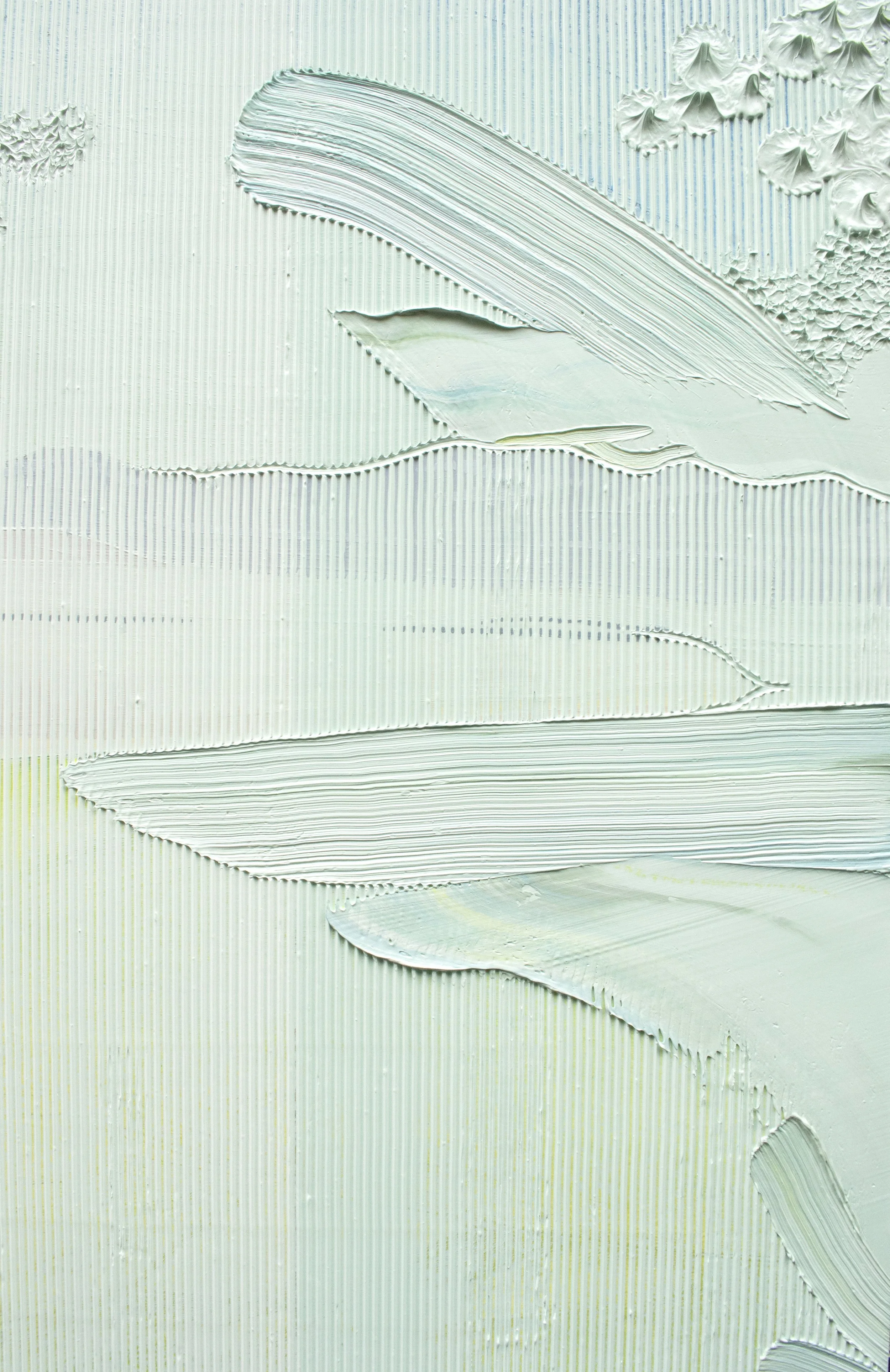 Ablemarle Mine- Silver Peak, Nevada (detail 4).jpg