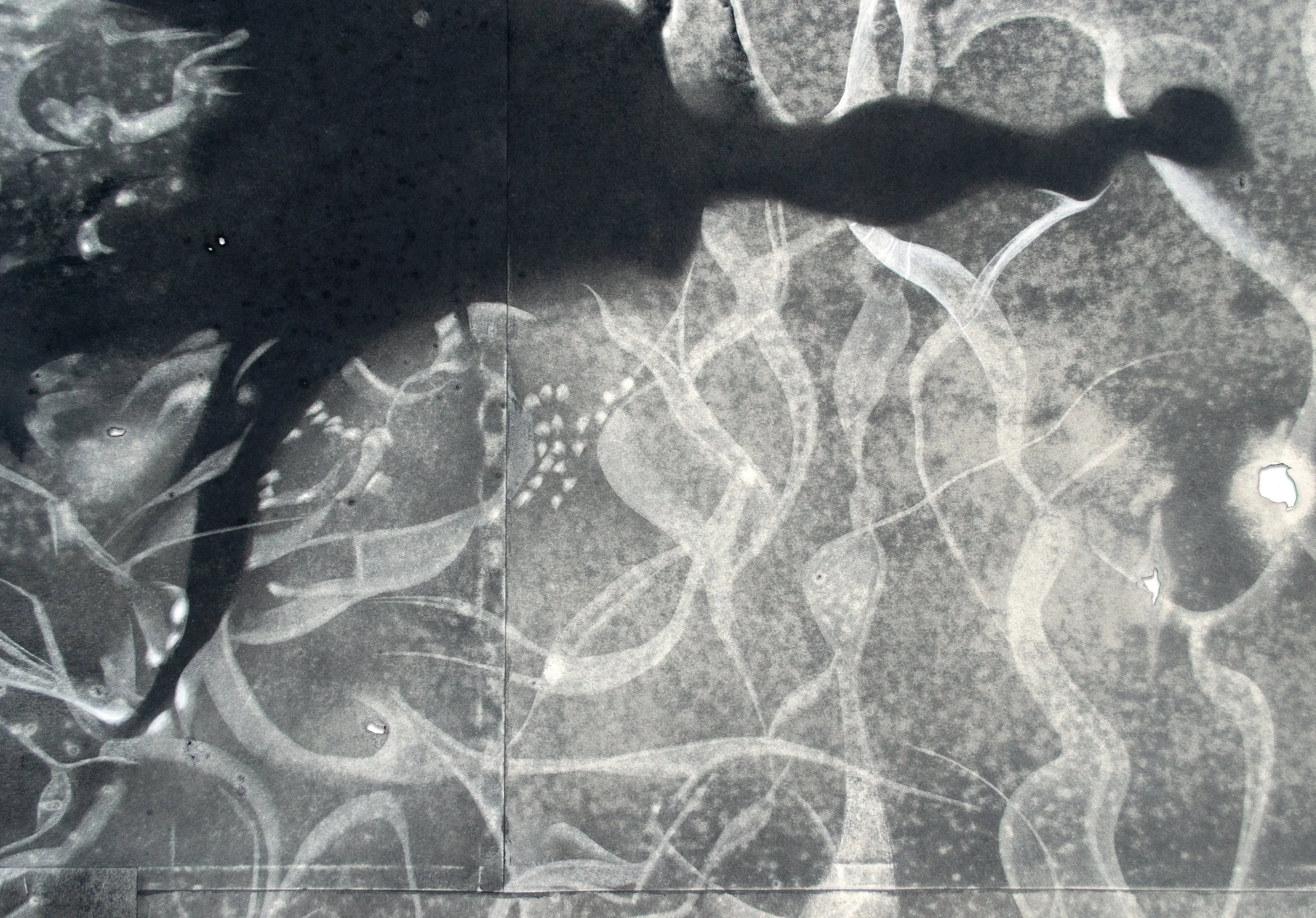 Untitled (Christina Sbarra) detail 4.jpg