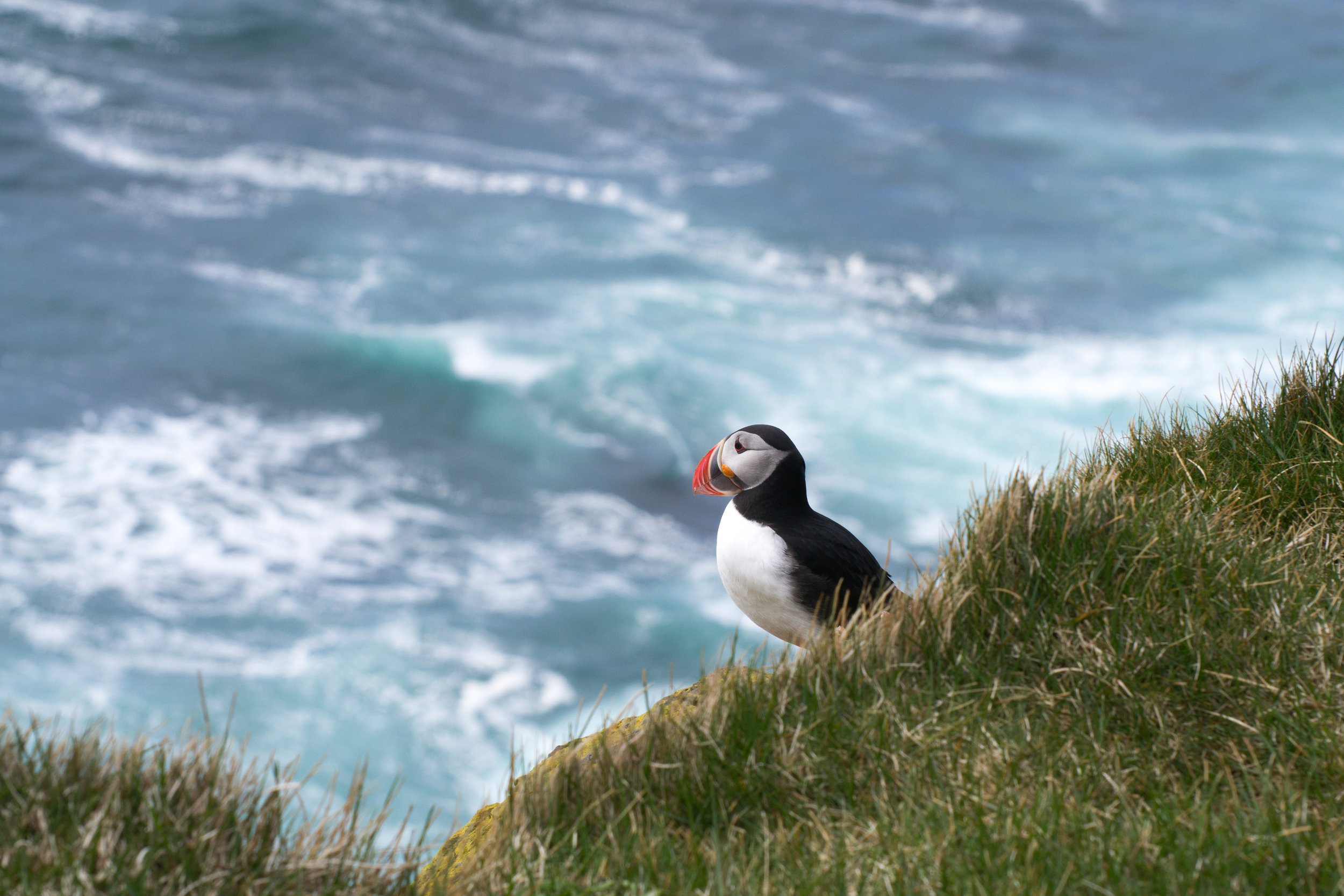 DSC_0173-5.jpg