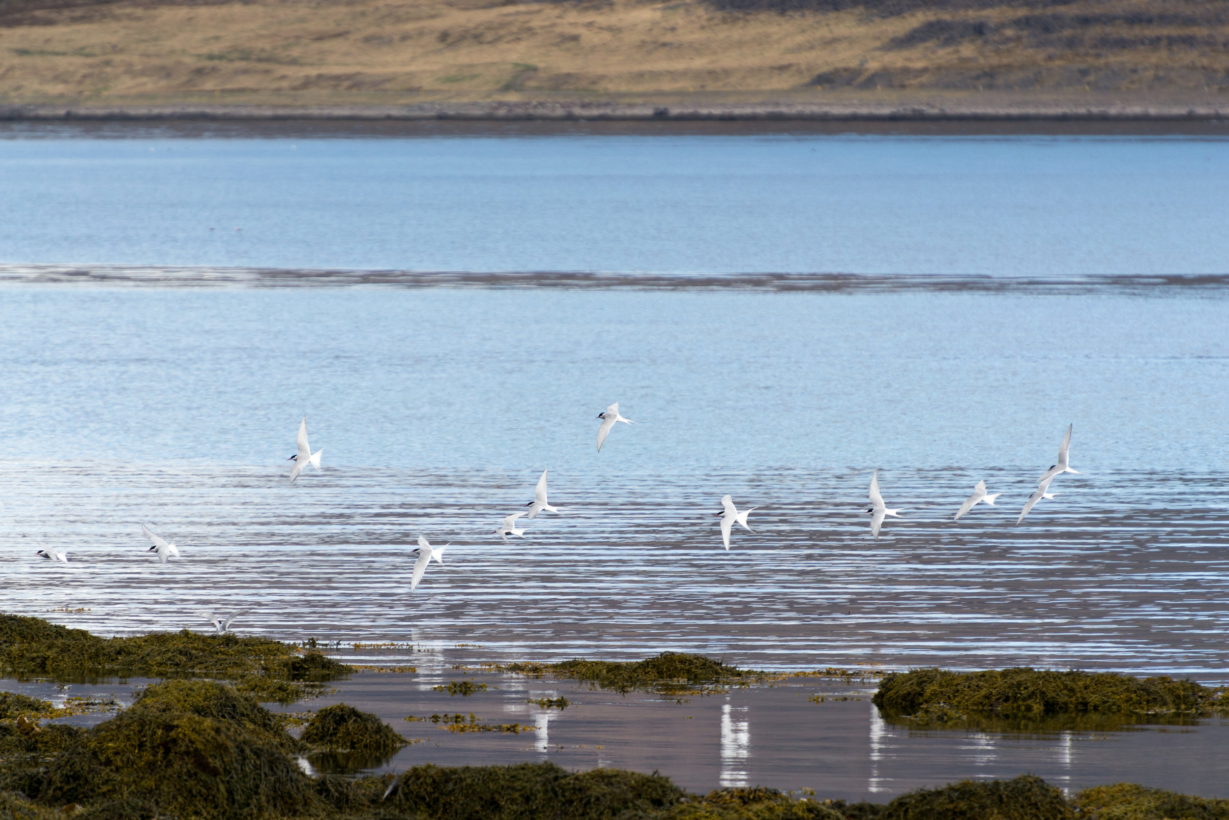 DSC_0065-4.jpg