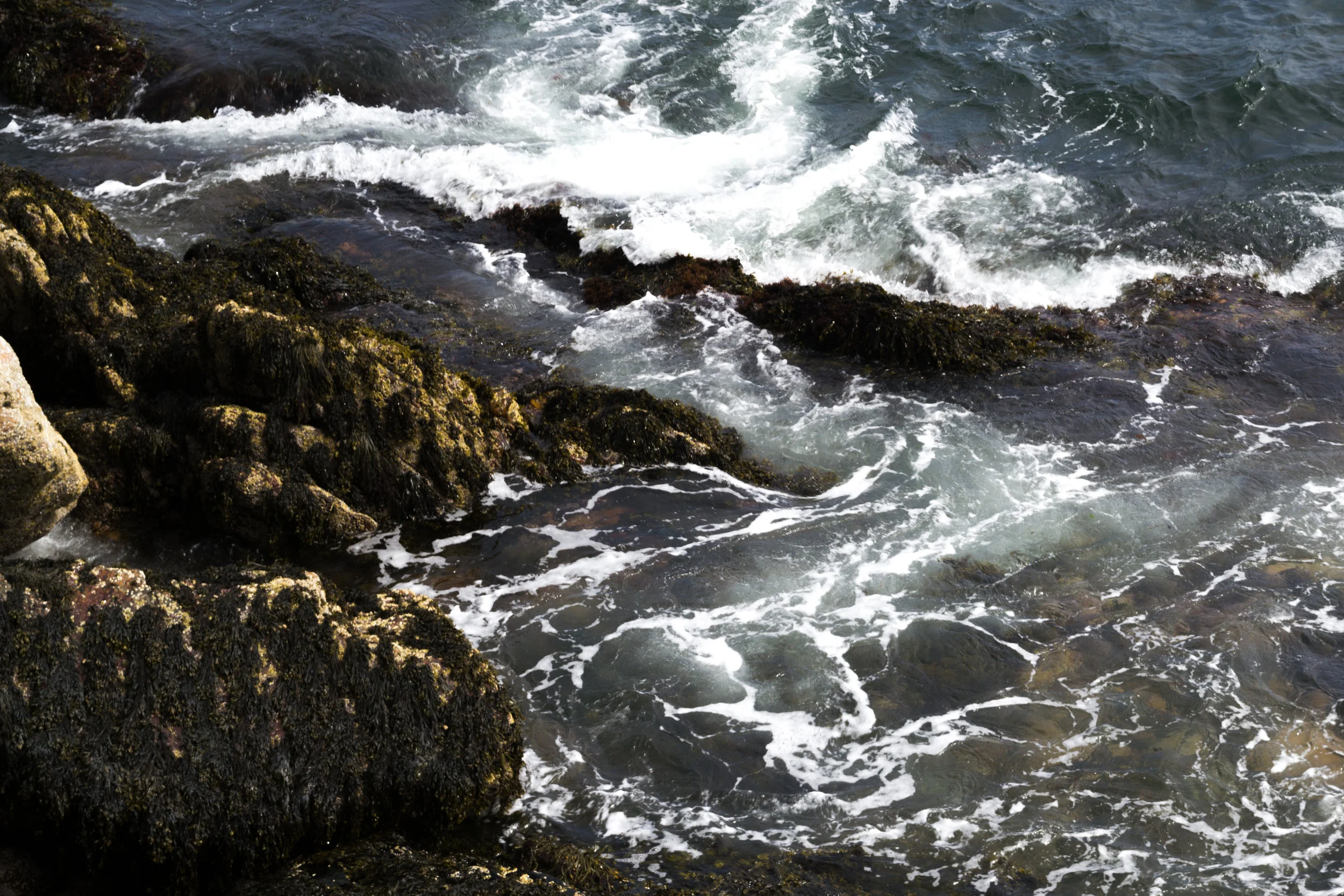 DSC_0283.jpg