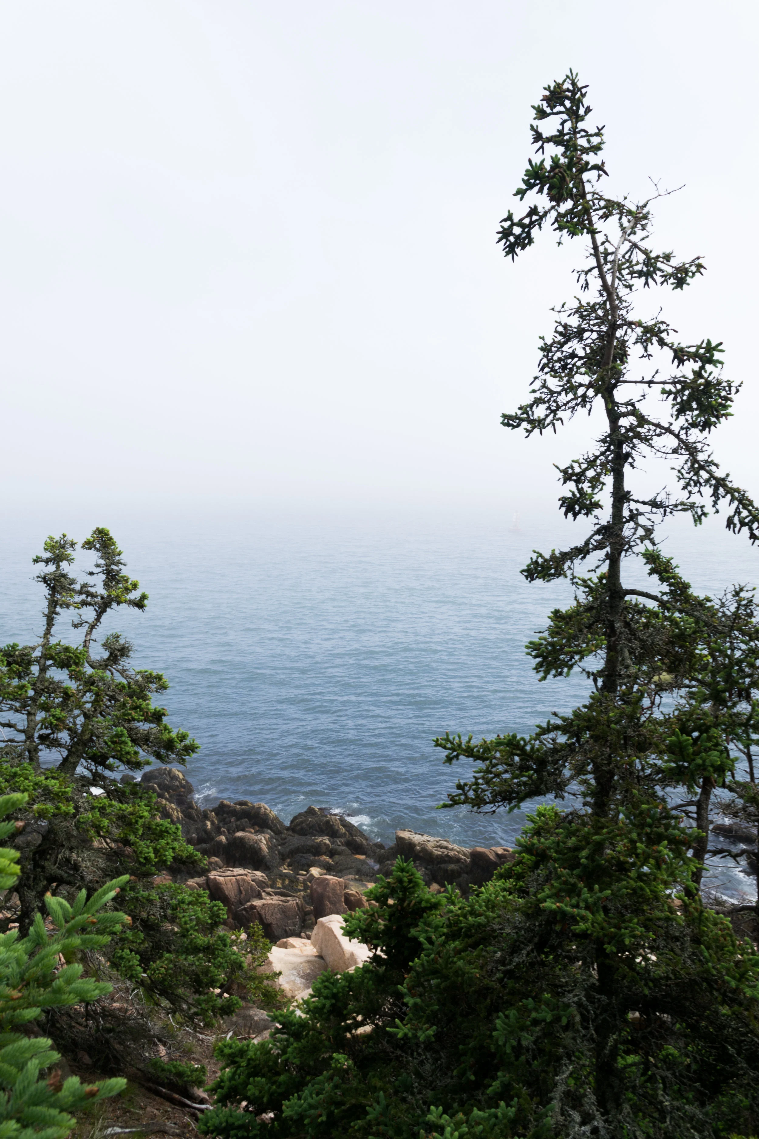 DSC_0265.jpg