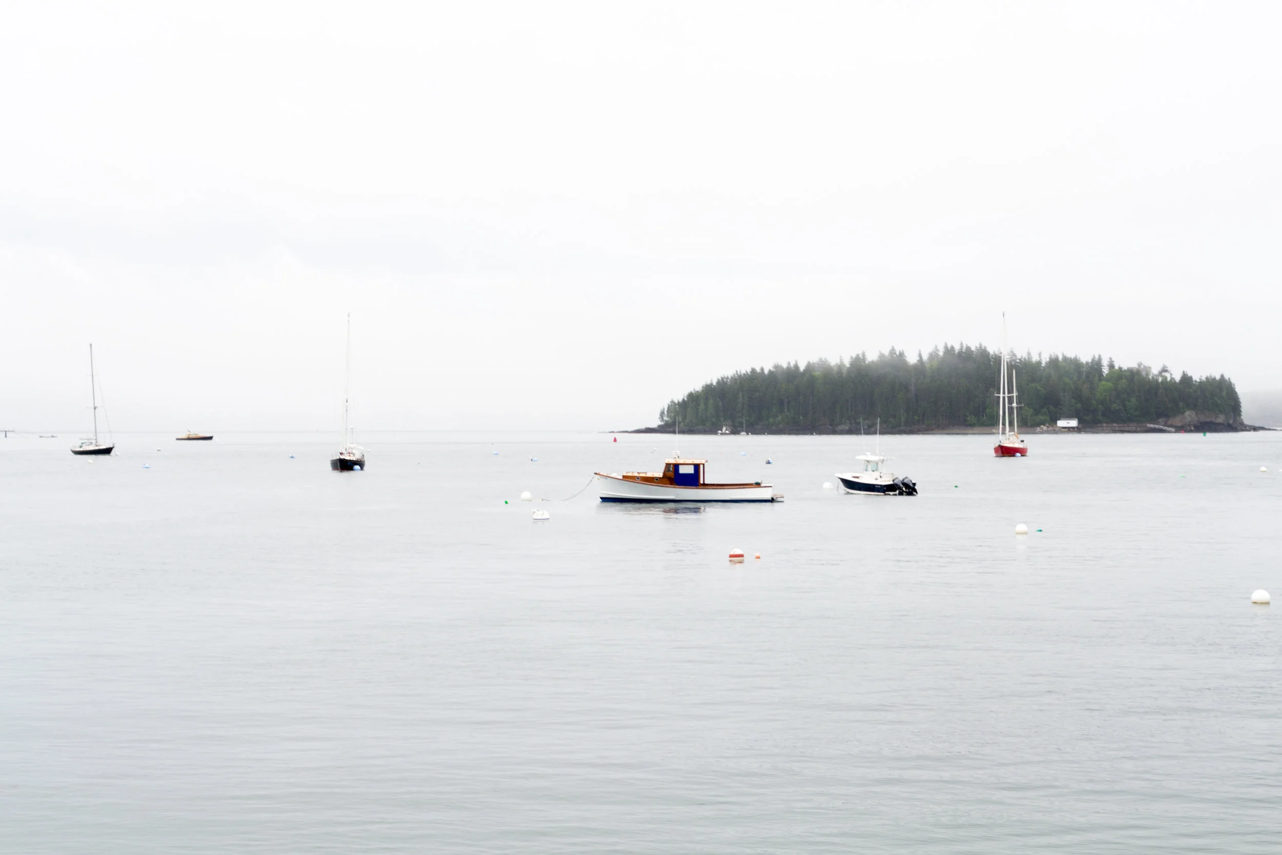 DSC_0012-2.jpg