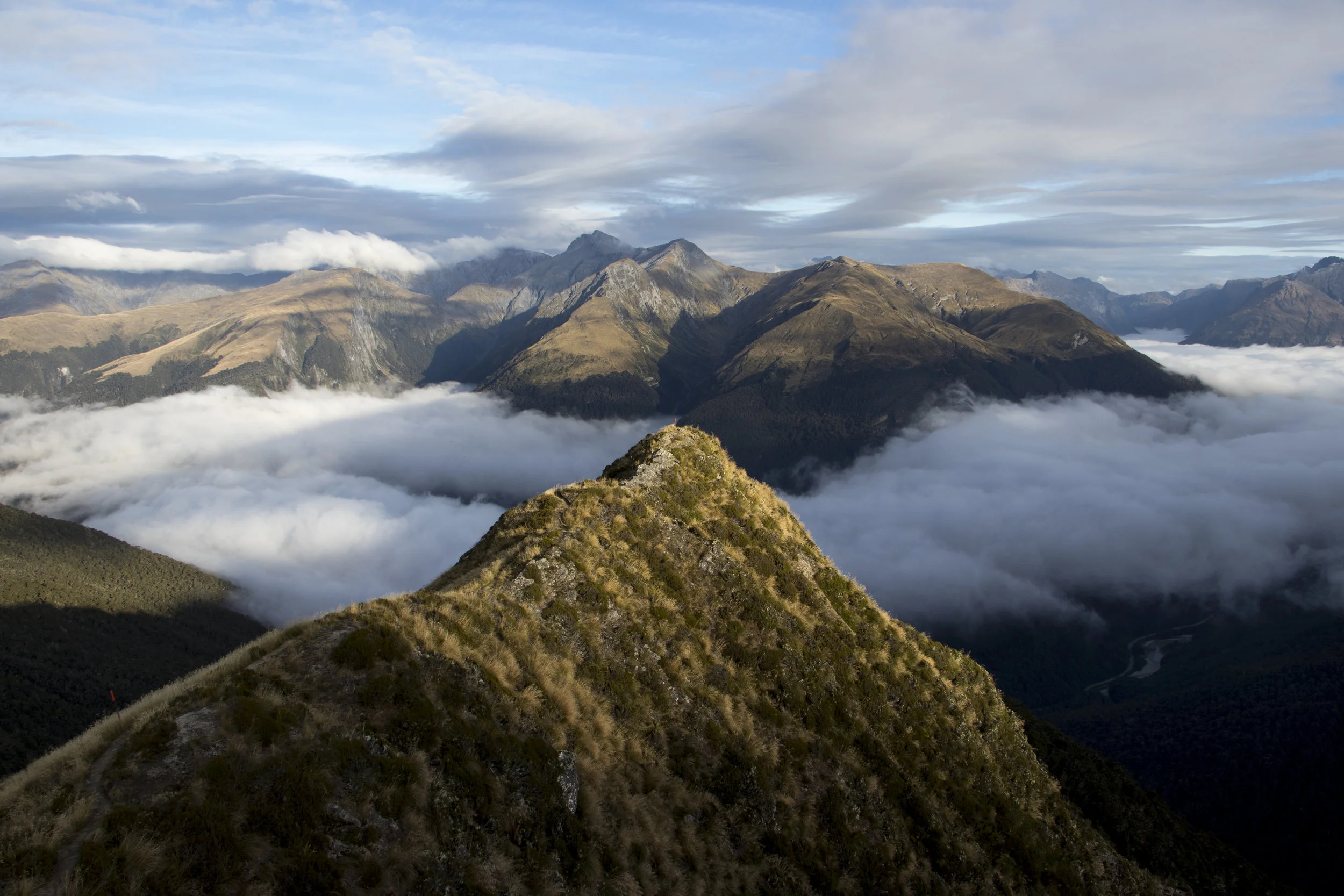 _MG_2475.jpg