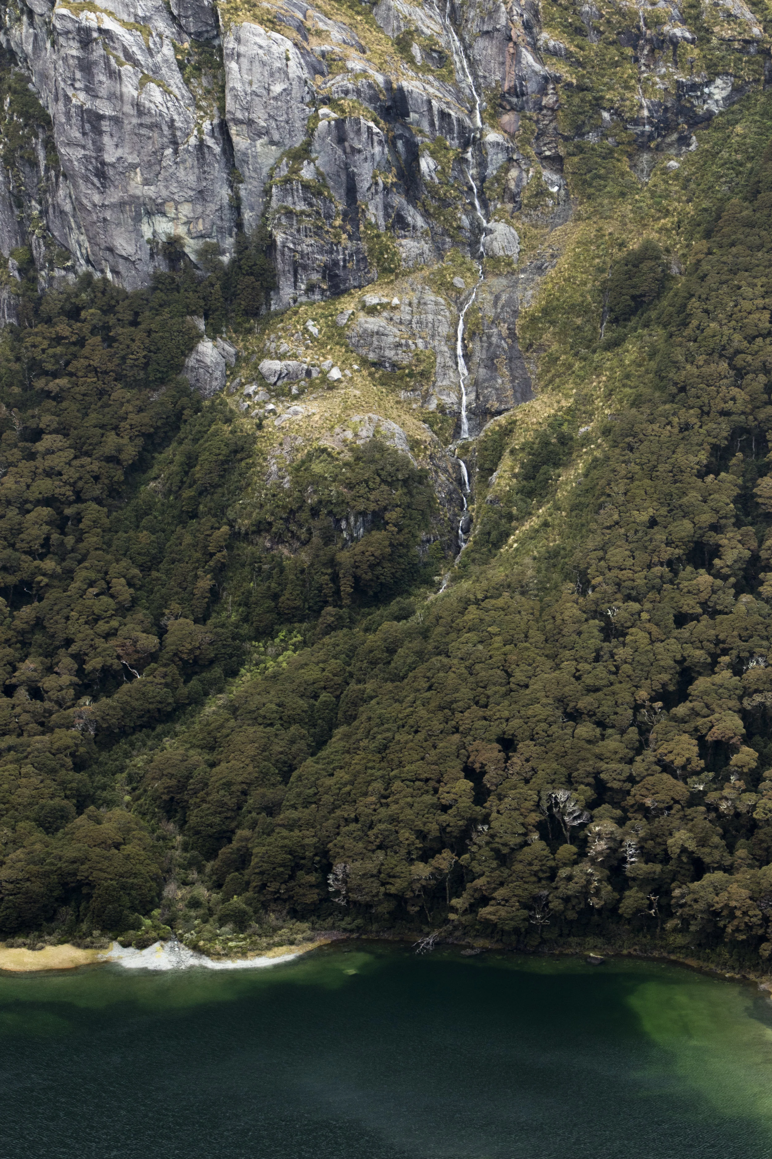 _MG_3972.jpg