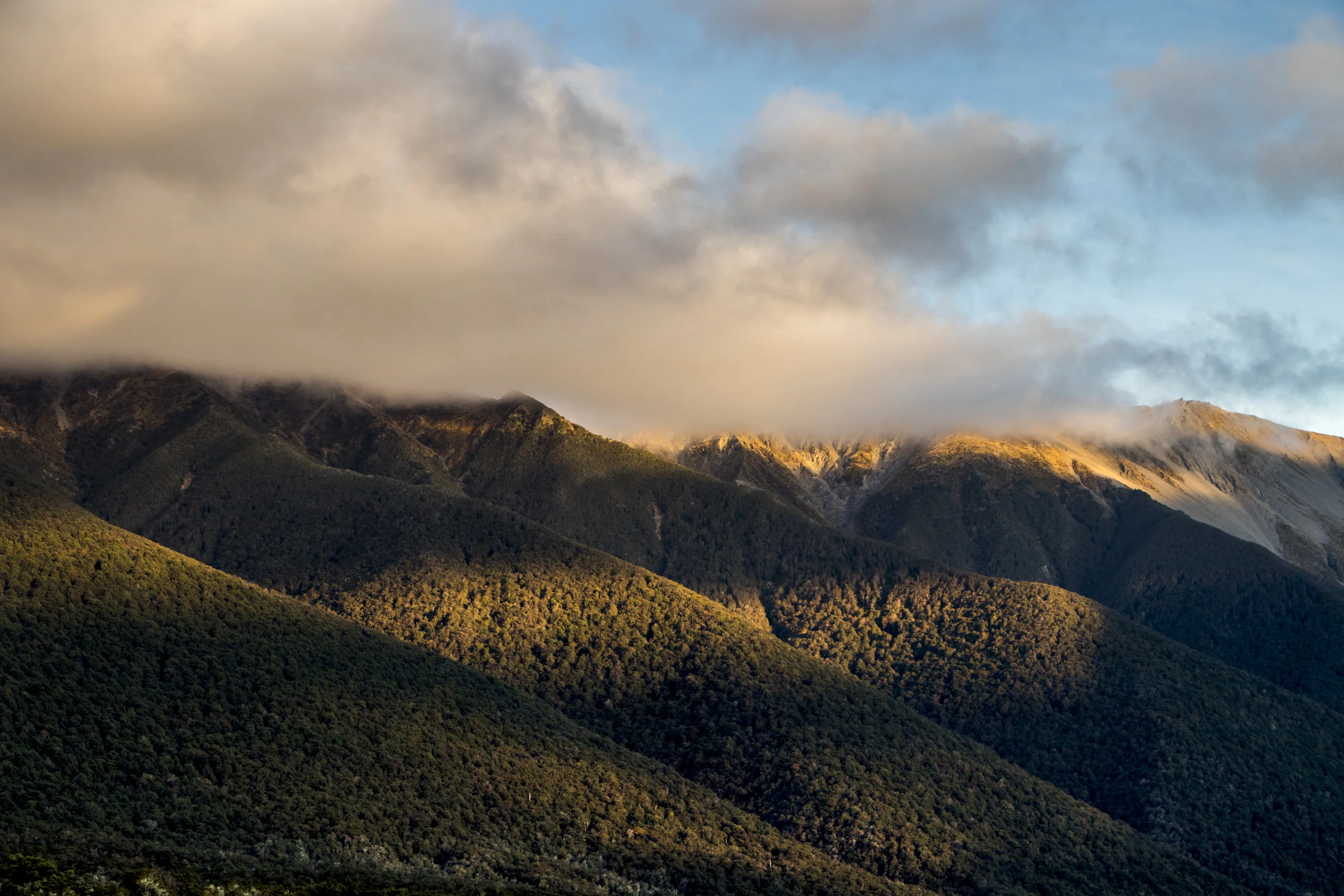_MG_3822.jpg